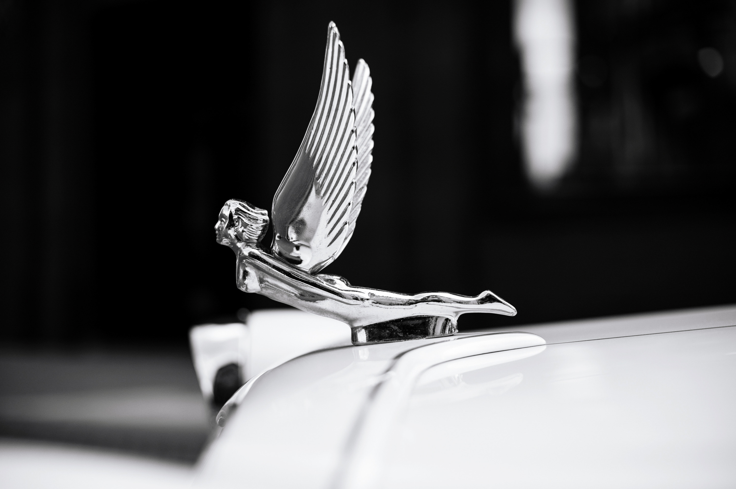 Роман и Дарья. Свадебный и Event фотограф в Москве | Андрей Губренко | Gubrenko