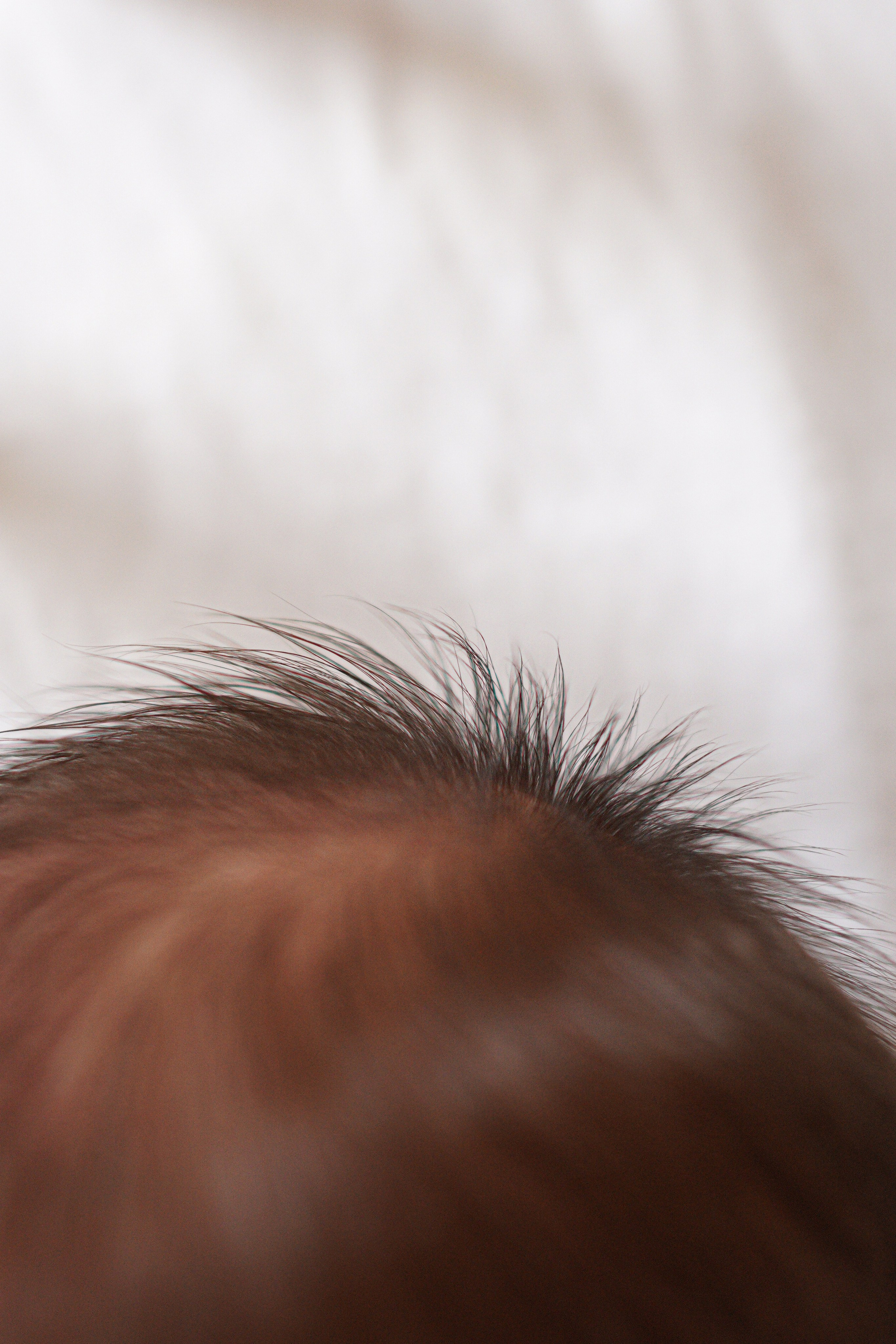 Выписка. Свадебный и семейный фотограф Афанасьева Анна в Кисловодске