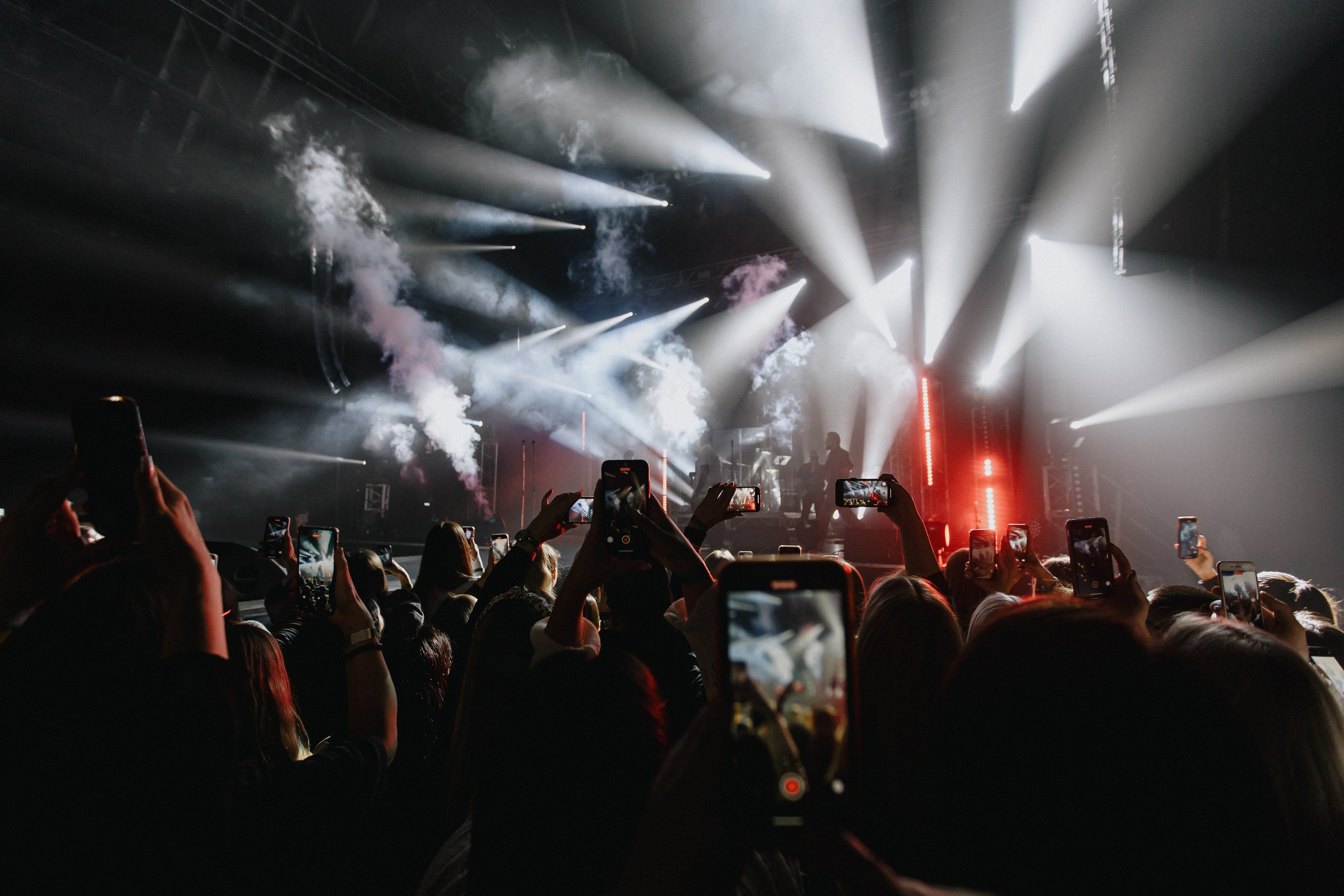 ANDRO|ELMAN|TONI|MONA. Фотограф Иркутск Антипин Сергей