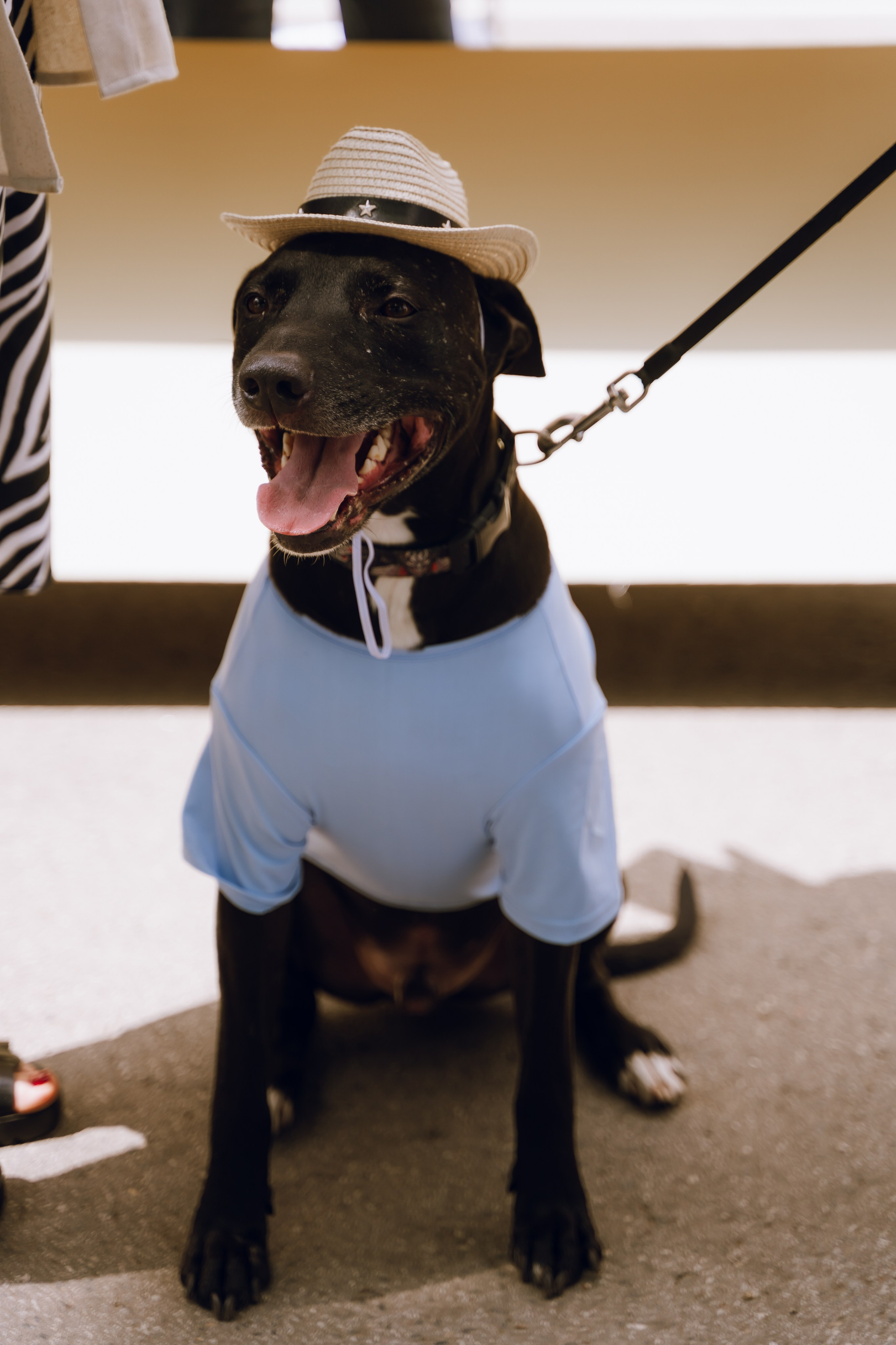 Площадка фестиваля «Мампус и его друзья» в Лесопарке 2025. Фотограф Надежда Погребняк | Рязань | Москва