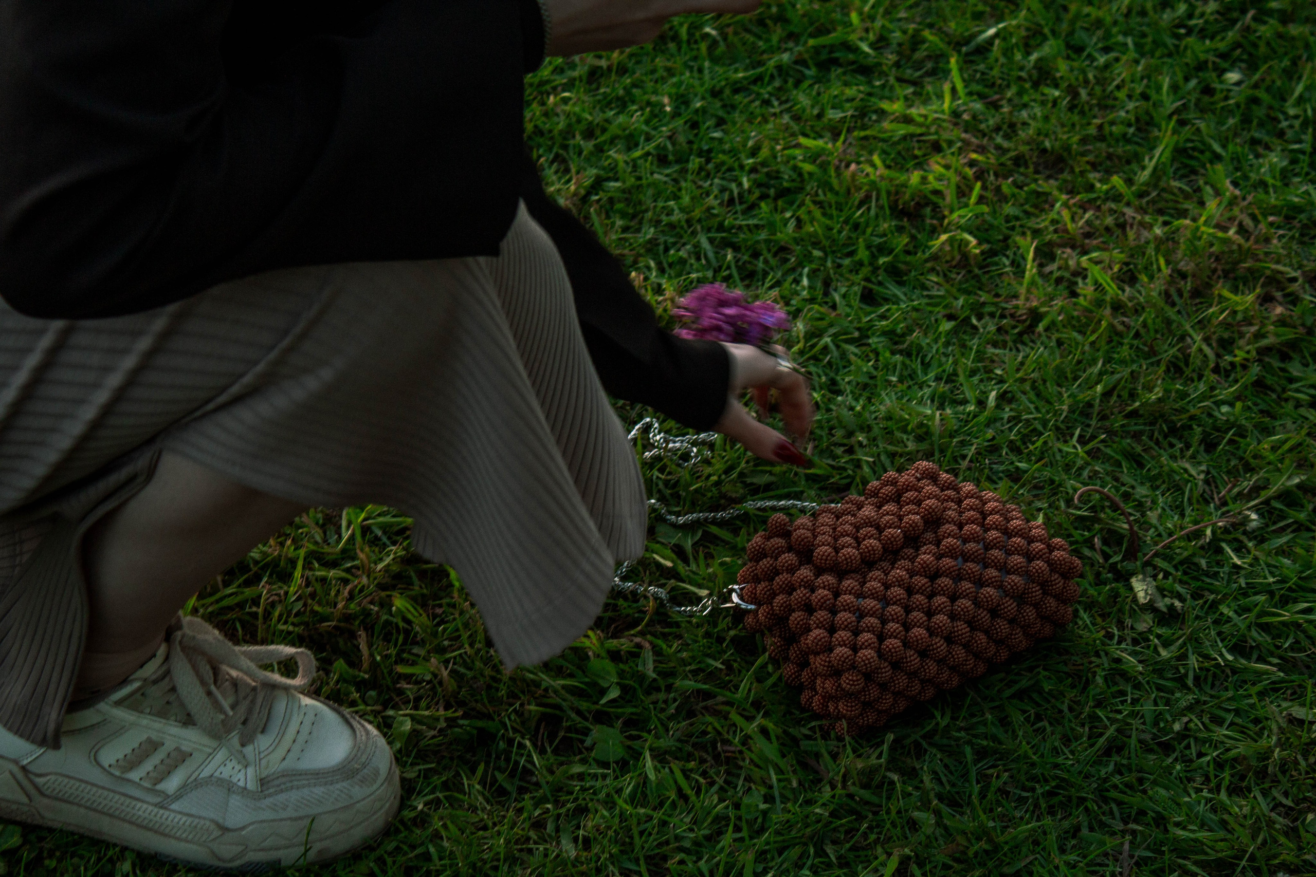 Сирень. Карпогоры, Санкт-Петербург