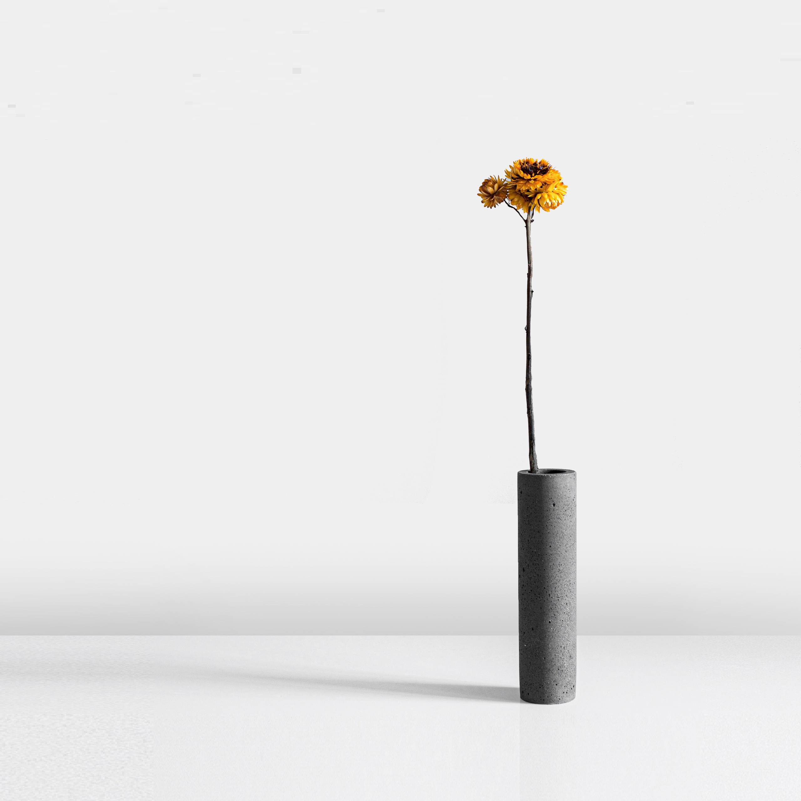 VASE. SHONGIN SERGEI