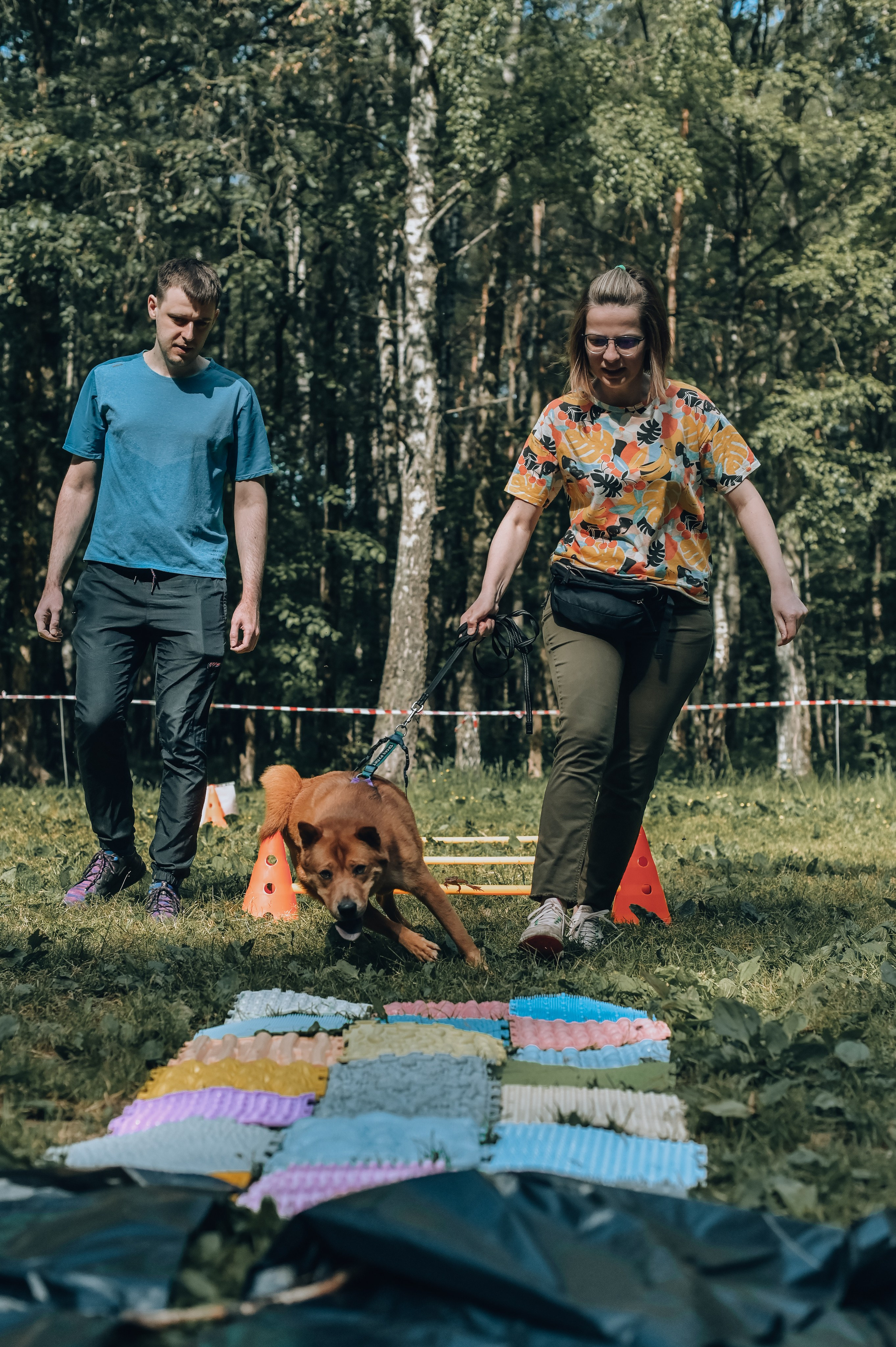 Кинологические соревнования. Семейный и репортажный фотограф в Москве Анастасия Трубкина