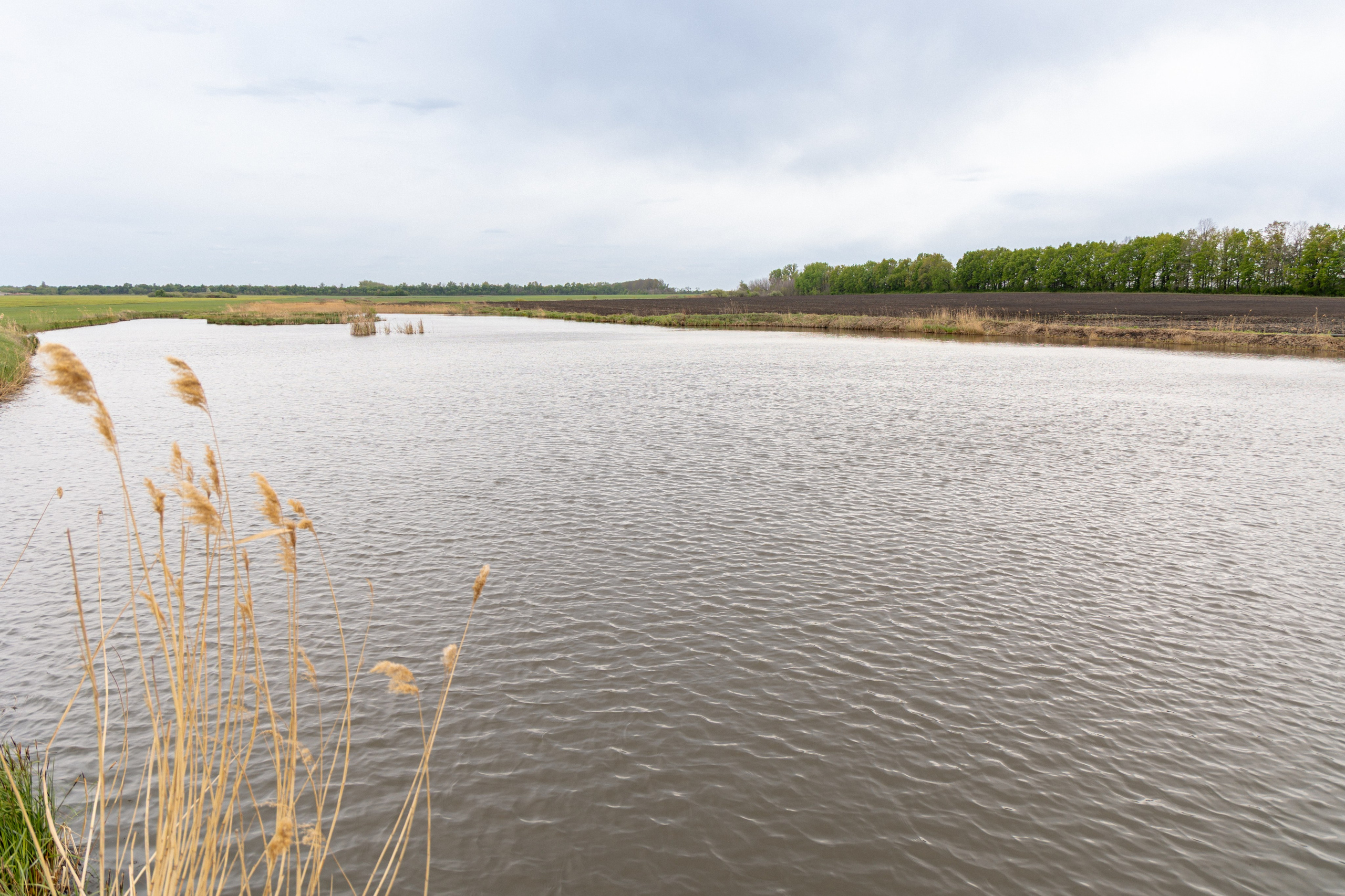 Приусадебный участок. Владислав Волков | Фотография и видеосъемка в Воронеже