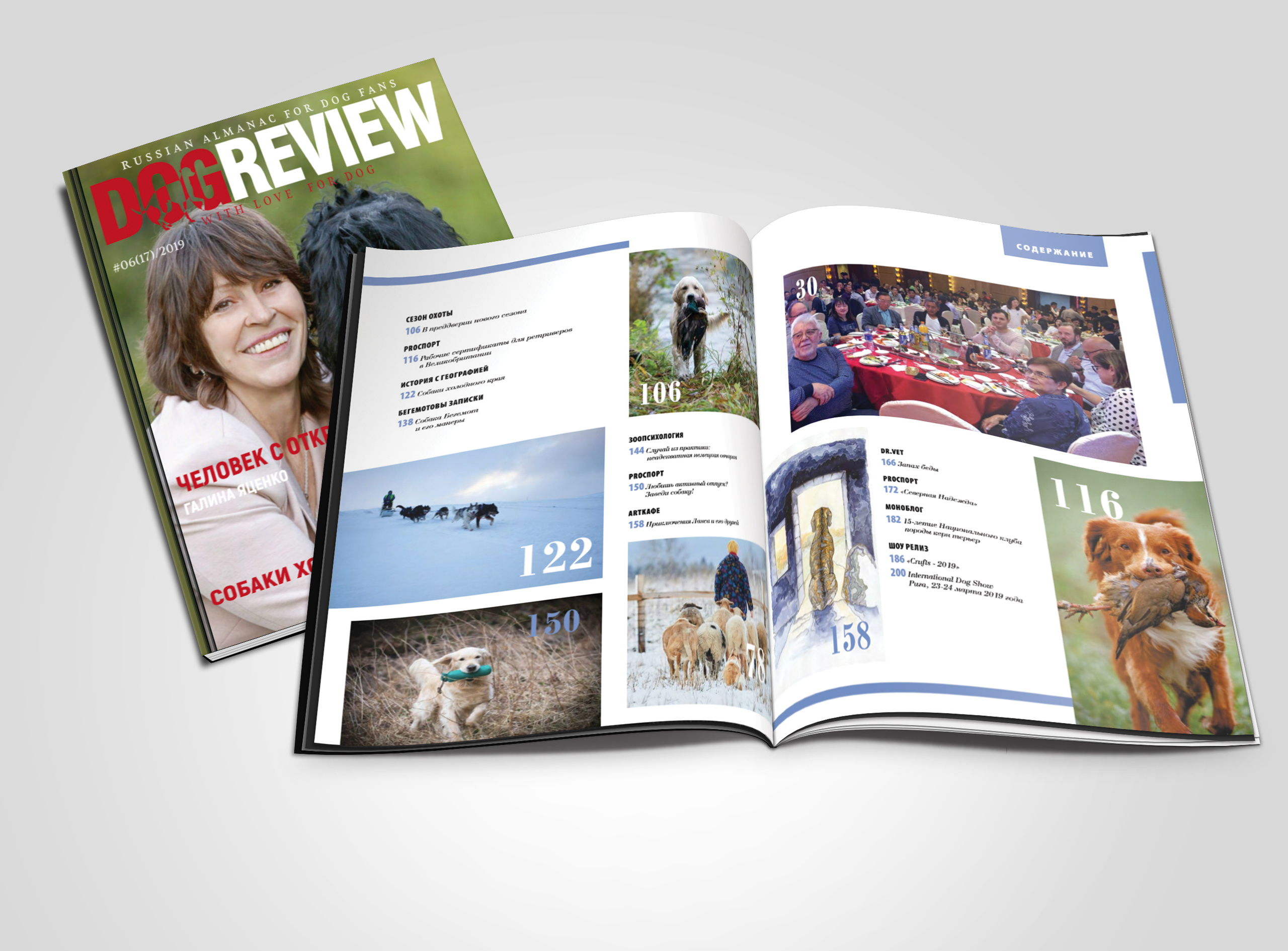 DOGREVIEW #6 (2019), photo for the announcement of the article by Lana Polyakova