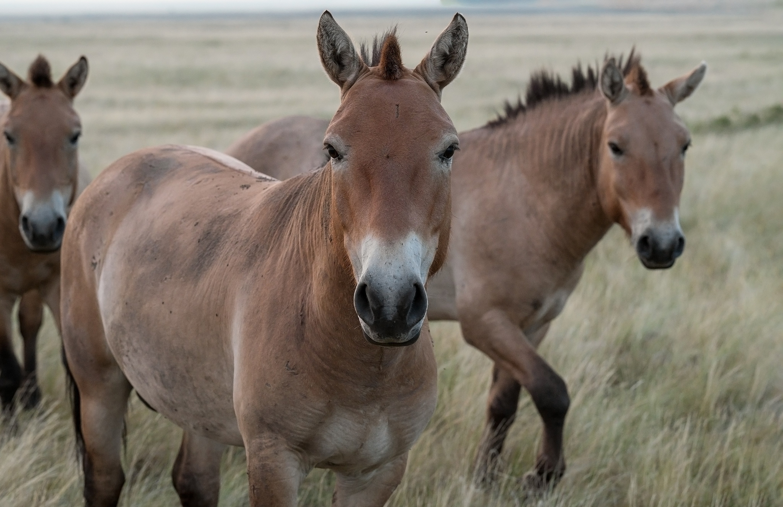 В природе. Портретный фотограф в Челябинске Катерина Руди