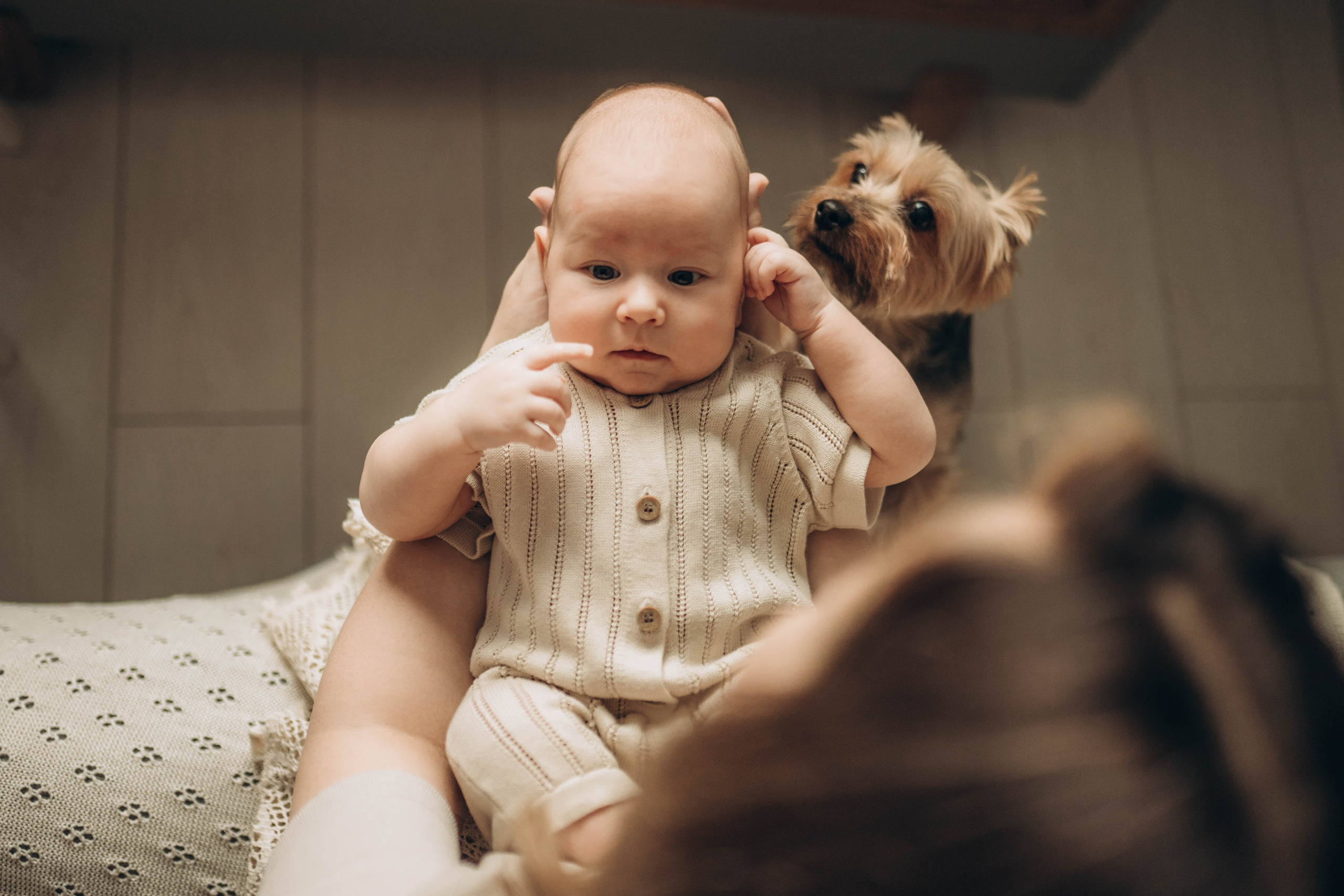 семья фотосессия семейная ньюборн фотограф лайфстайл семейная новорожденные фотография 