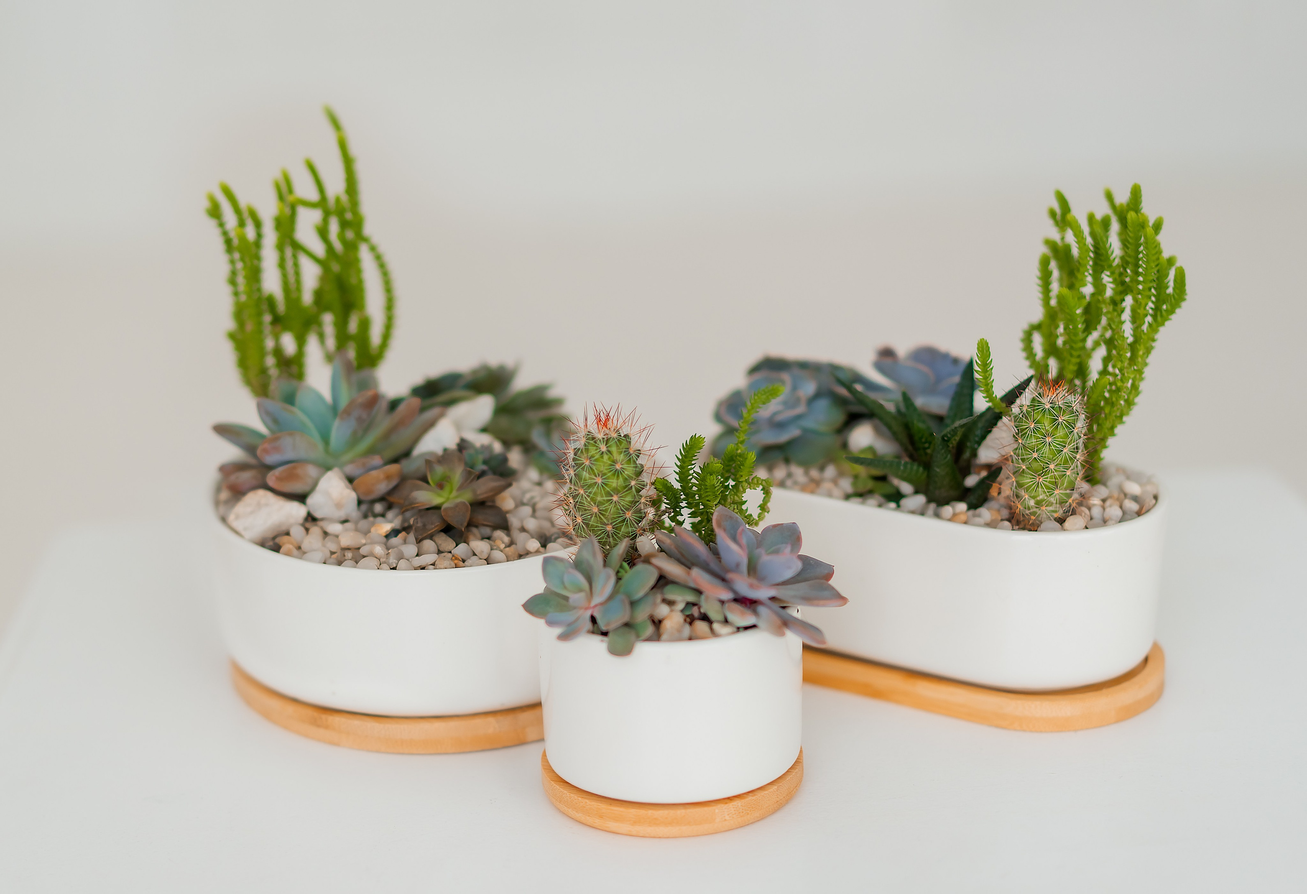 Анна. Фитодизайн. Семейный и женский фотограф. Видеомейкер в Новосибирске