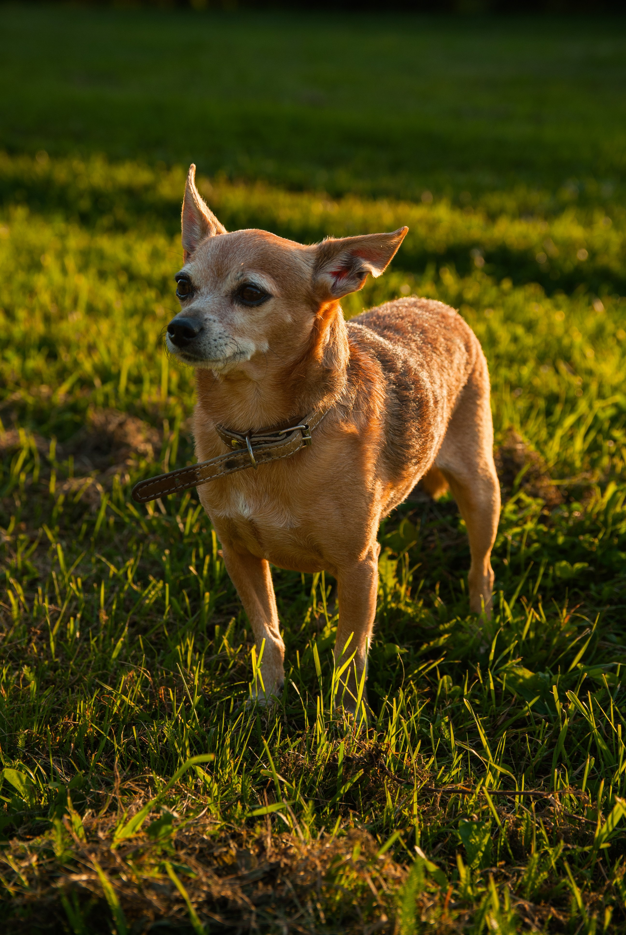Зоопарк в моём багаже. Кошенкова Мария: портретный и репортажный фотограф. Санкт-Петербург