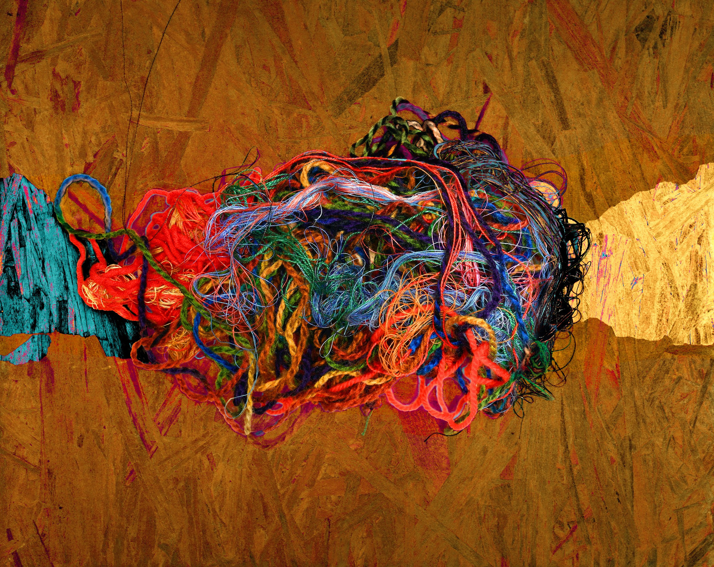 Проект «Сплетения». Арт-фотограф Виктория Забродина