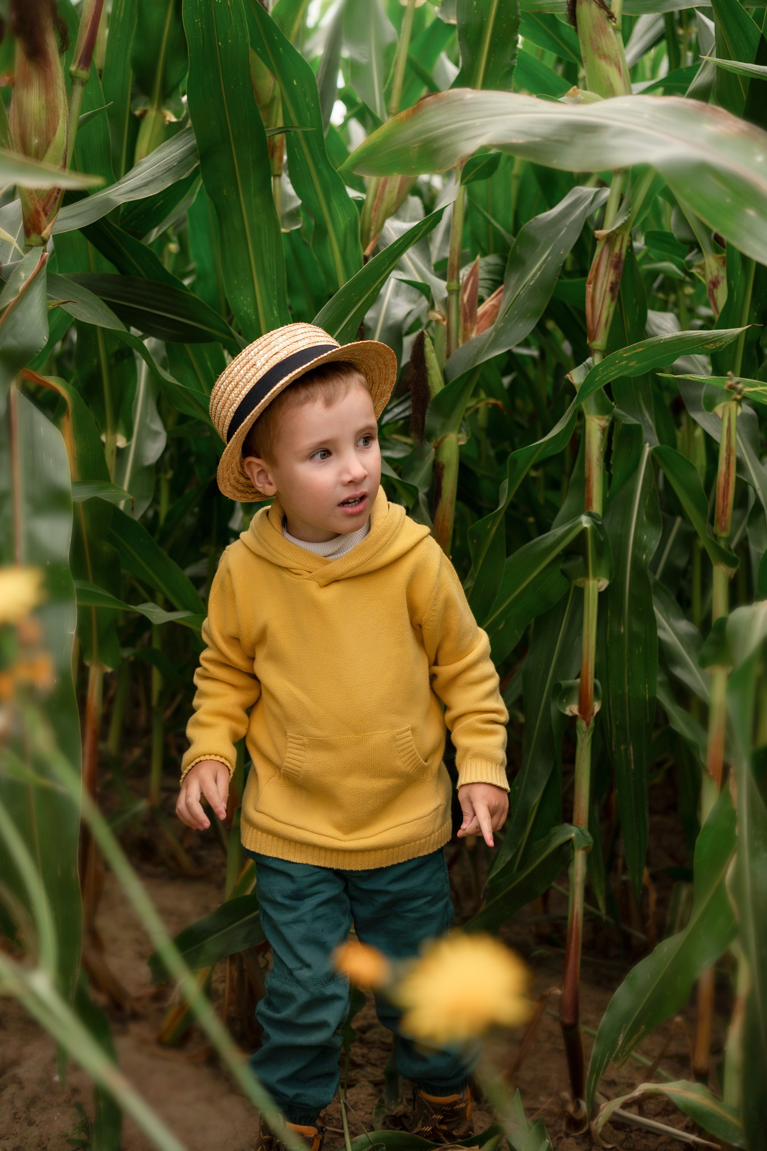 Фотосессия в кукурузе. Детский и семейный фотограф г. Москва Оксана Катаджи