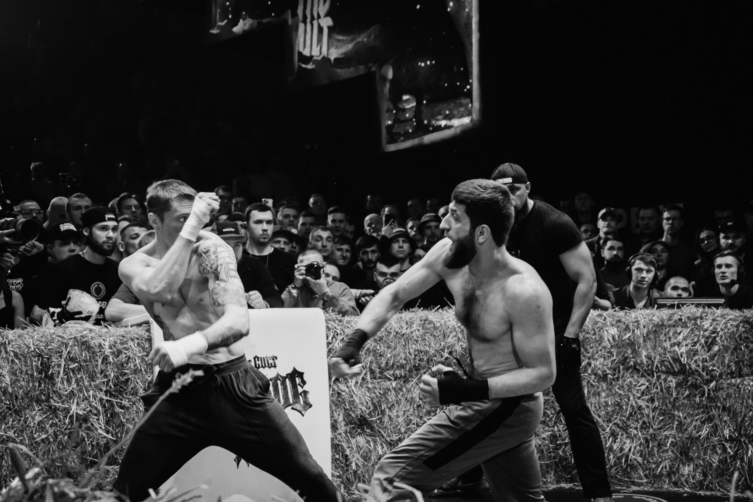 Кулачные бои TopDog. Анастасия Тен