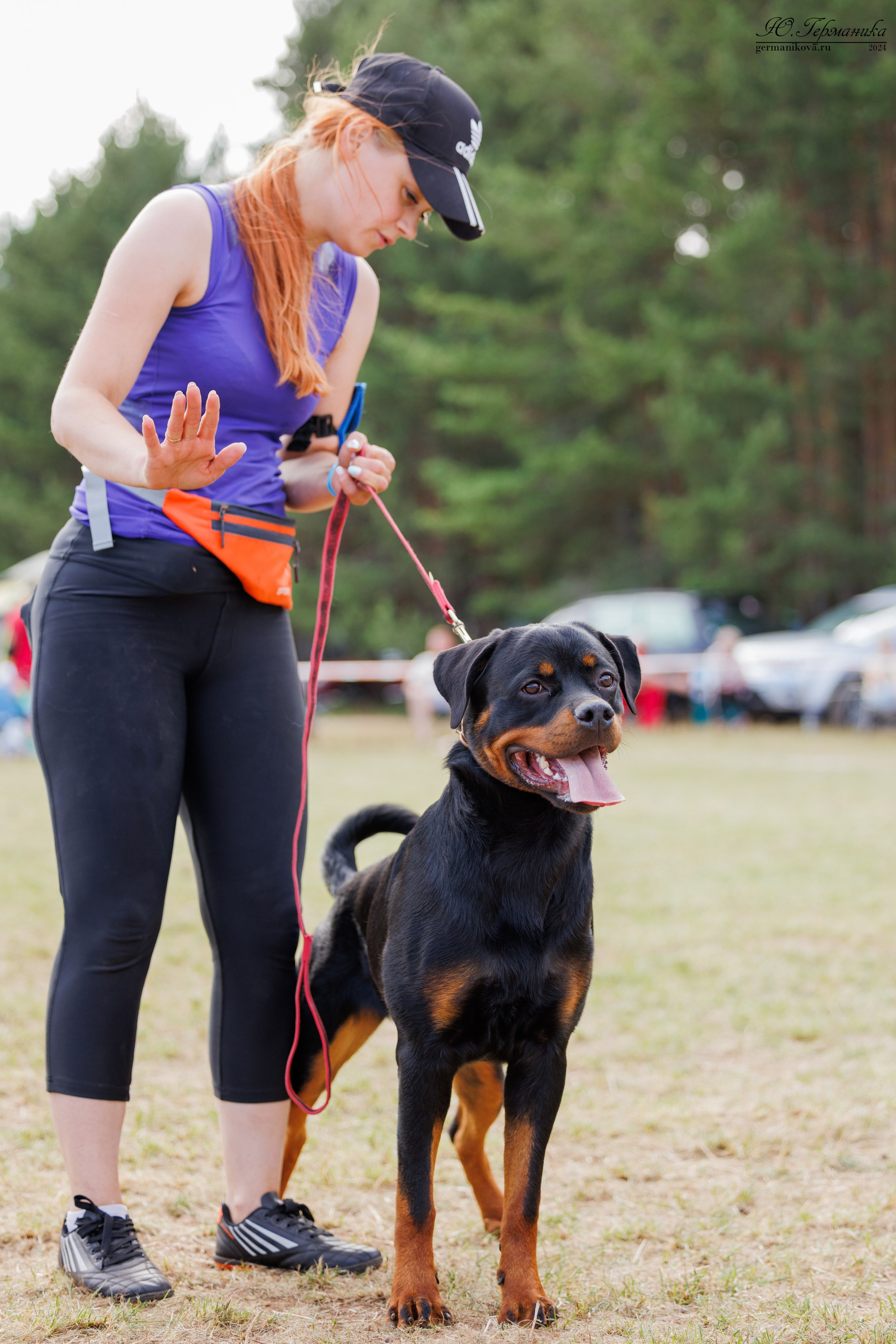 ПК и КЧК ротвейлеры Тверь 6-7.07.2024. Фотограф-анималист Юлия Германика