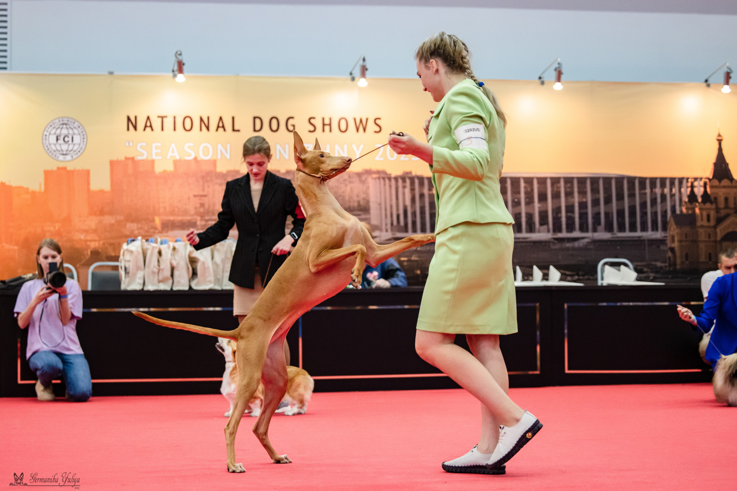 Нижний Новгород 21-22.10.2023. Фотограф-анималист Юлия Германика