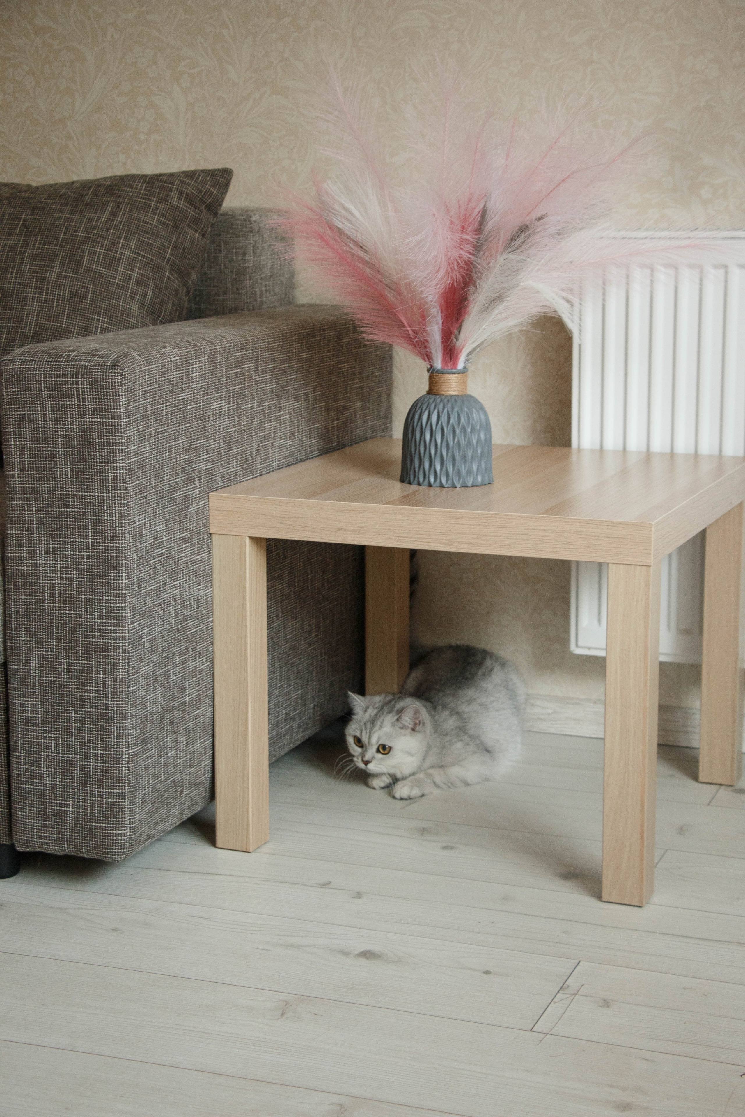 NASTYA & KITTI. Бережно сохраняю ваши чувства и истории на своих фотографиях