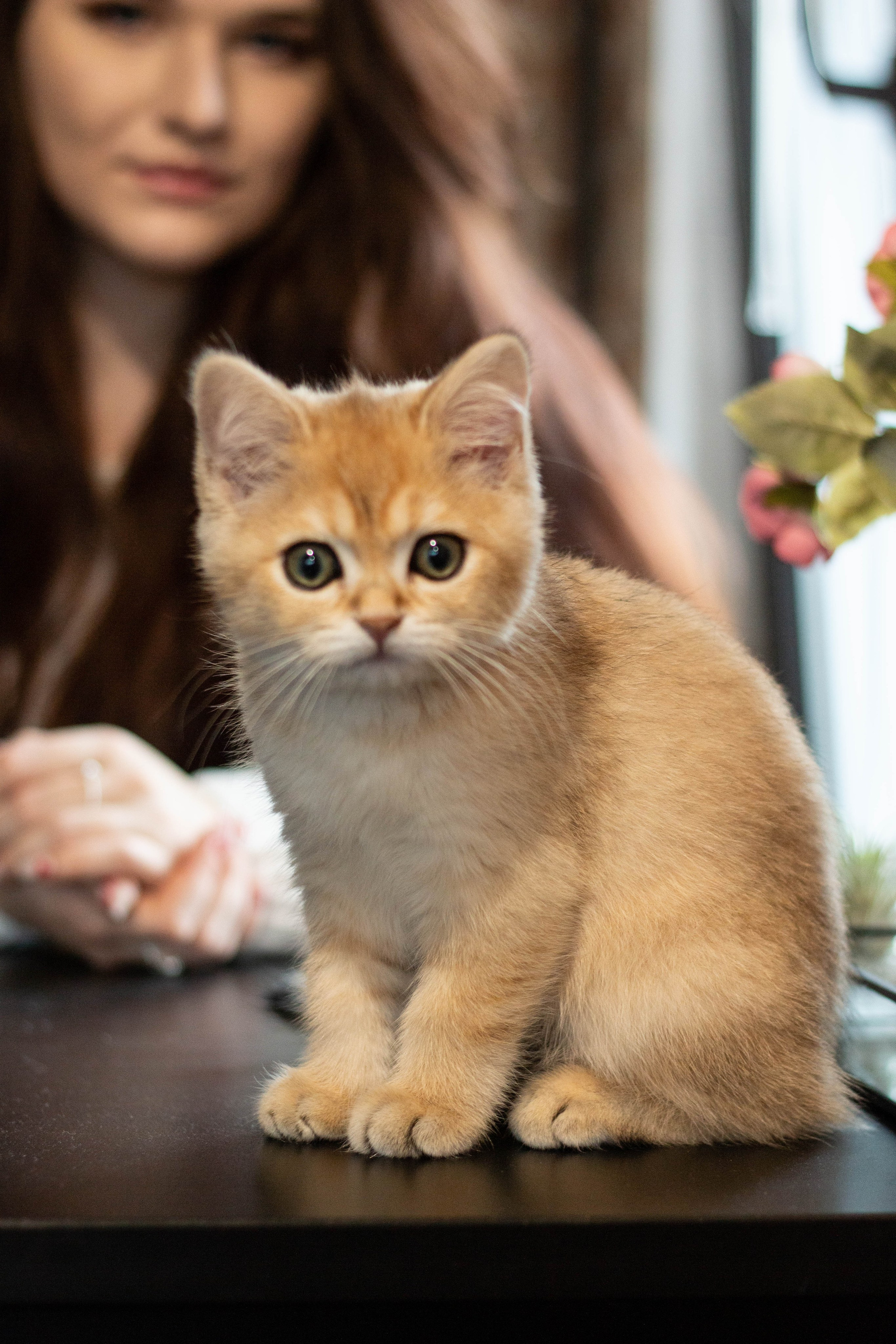 MILANA & RUFUS. Бережно сохраняю ваши чувства и истории на своих фотографиях