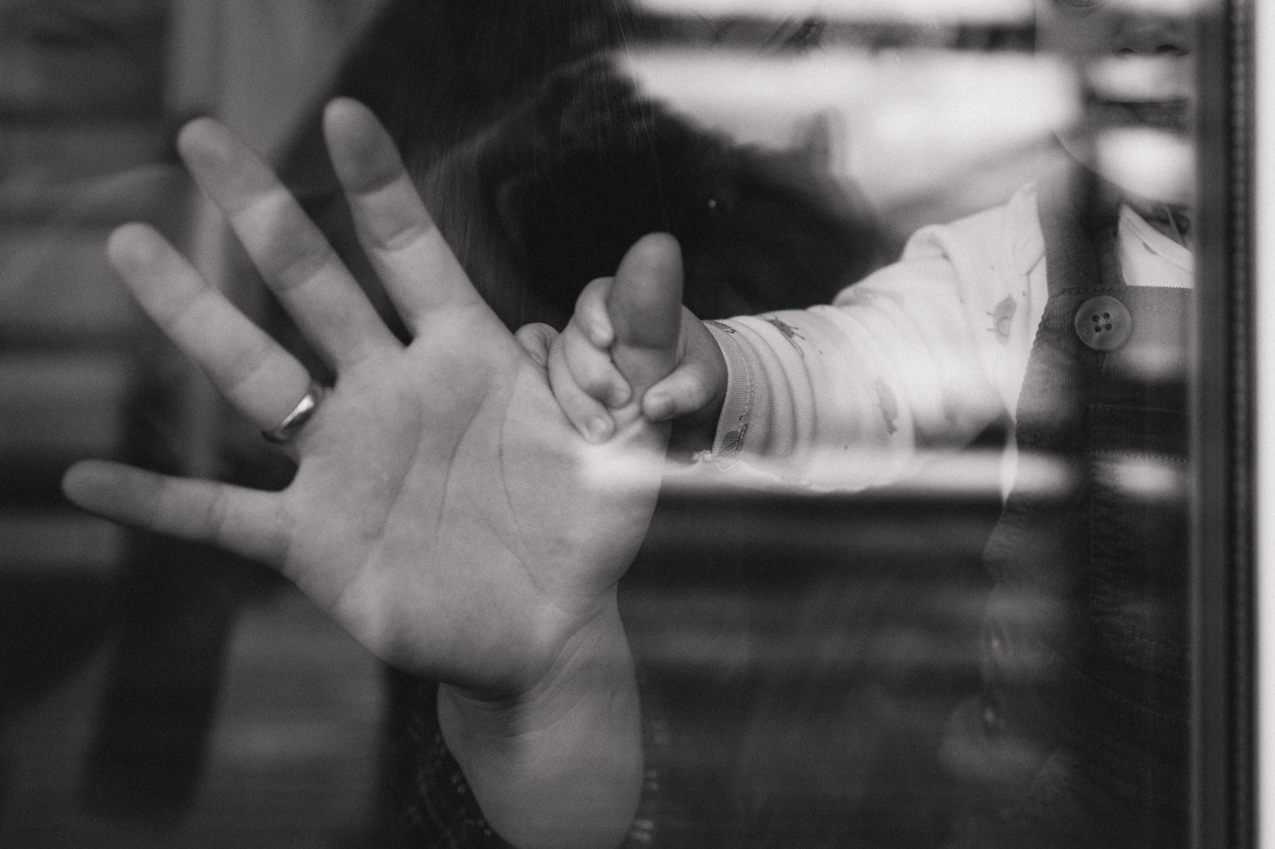 Катя, Антон, Таня, Бакс. Главная