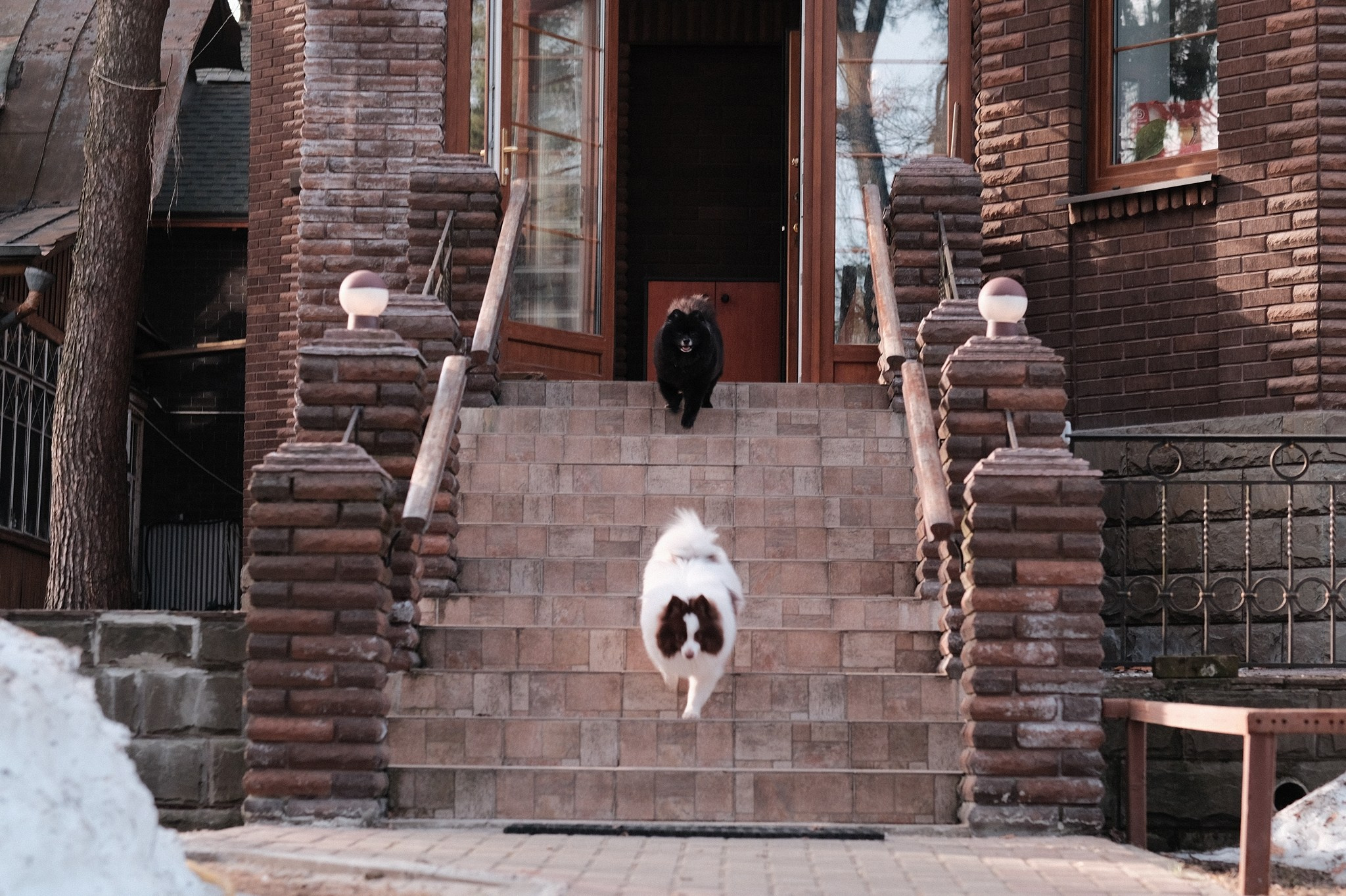 Аляска, Чарли, Пати и их люди. Дмитрий Бречалов