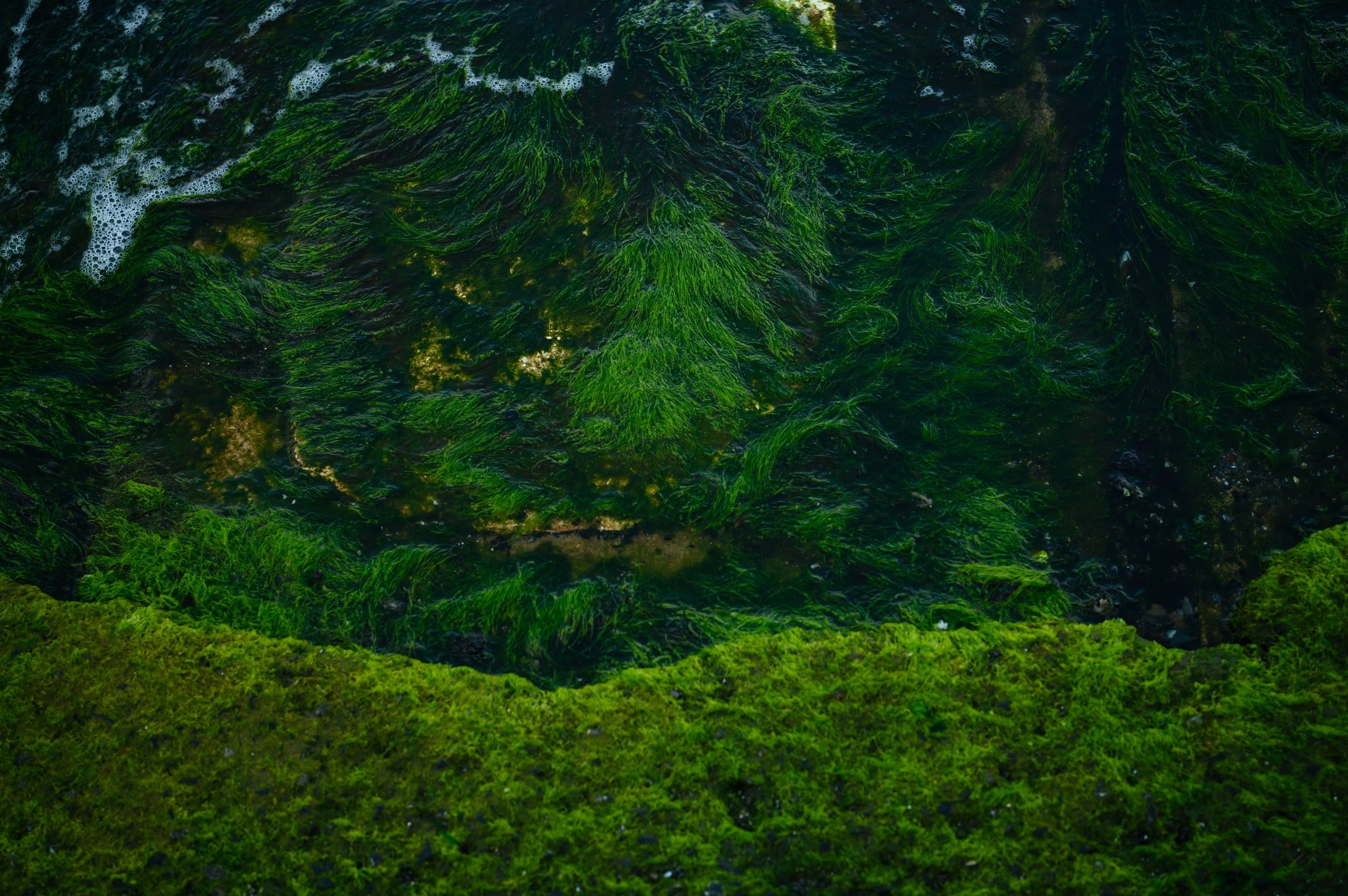 Стамбул-Каппадокия 04.2025. Фотограф Марина Росси