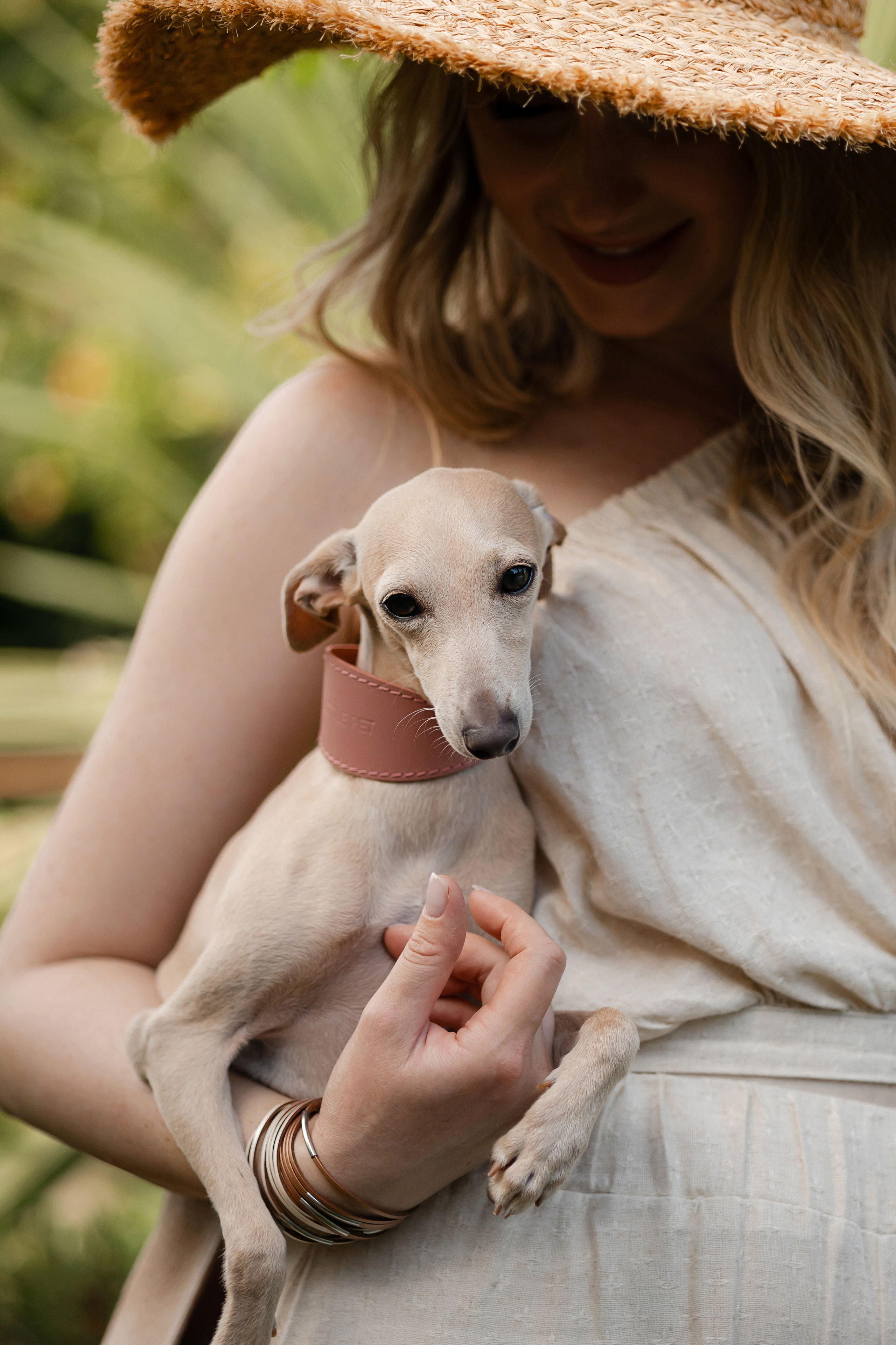 Asti Sapphire Adriana. Профессиональный питомник левреток РКФ/FCI ASTI SAPPHIRE 💎 Сочи|Санкт-Петербург