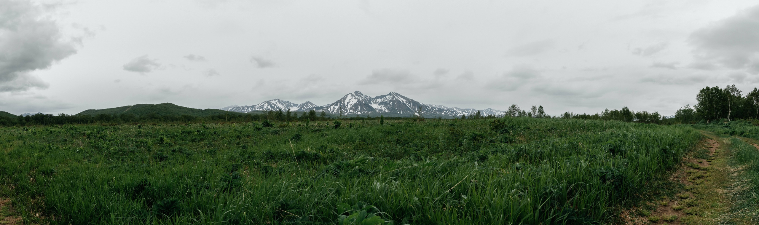 Природа. Людмила Москвичёва — Фотограф на все случаи жизни.Камчатка/Владивосток