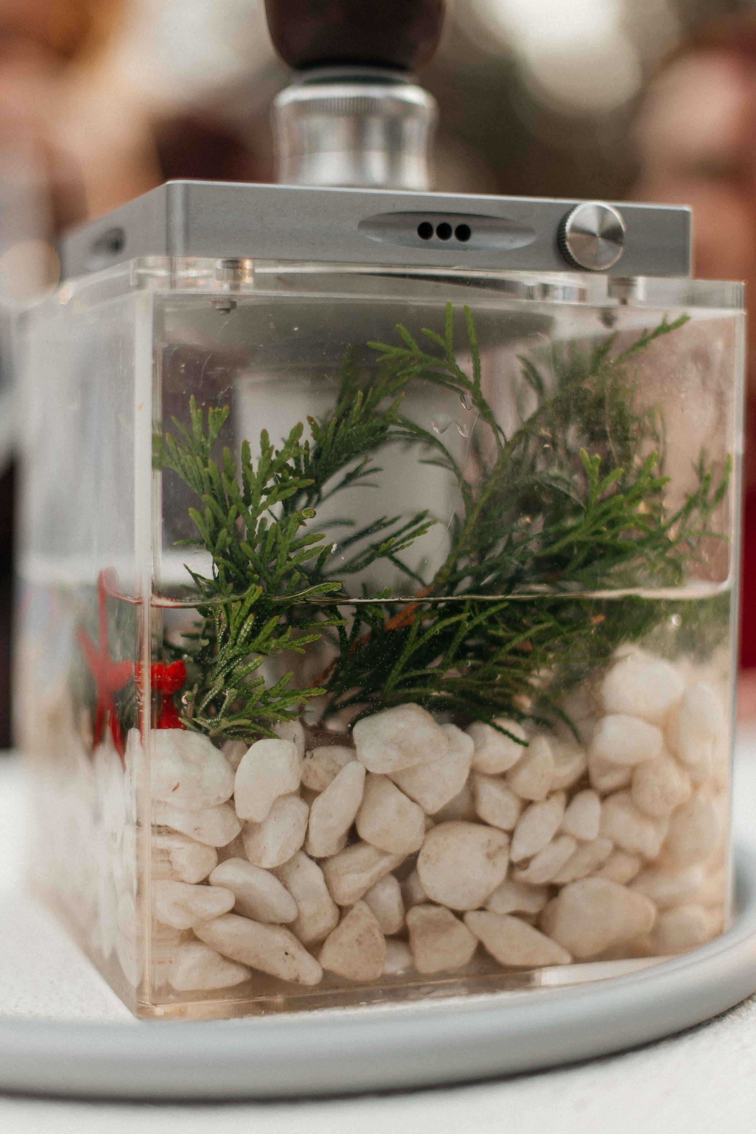 Матвей и Ксения. Свадебный фотограф и видеограф