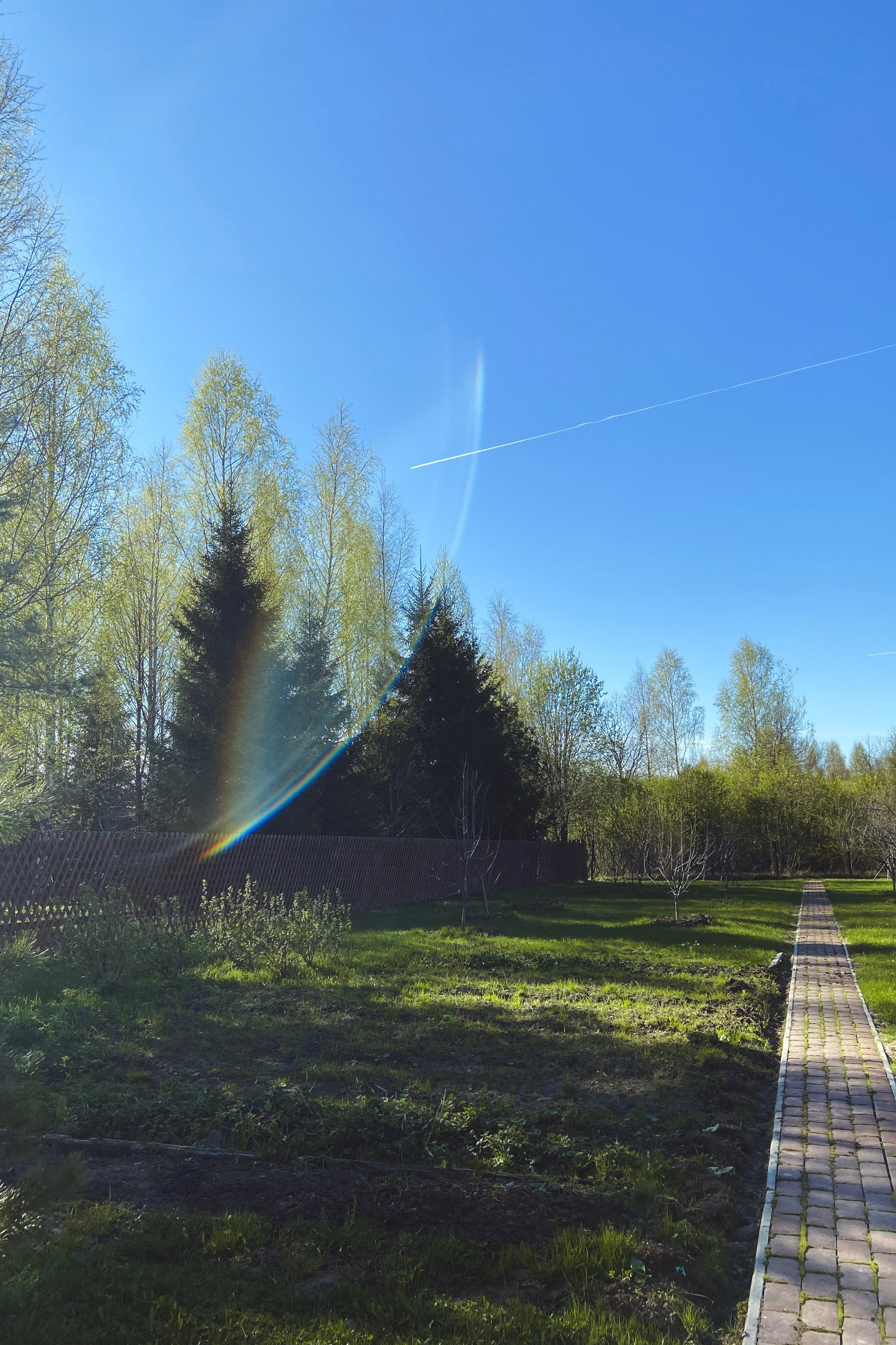 Автор: Евгения Полонская