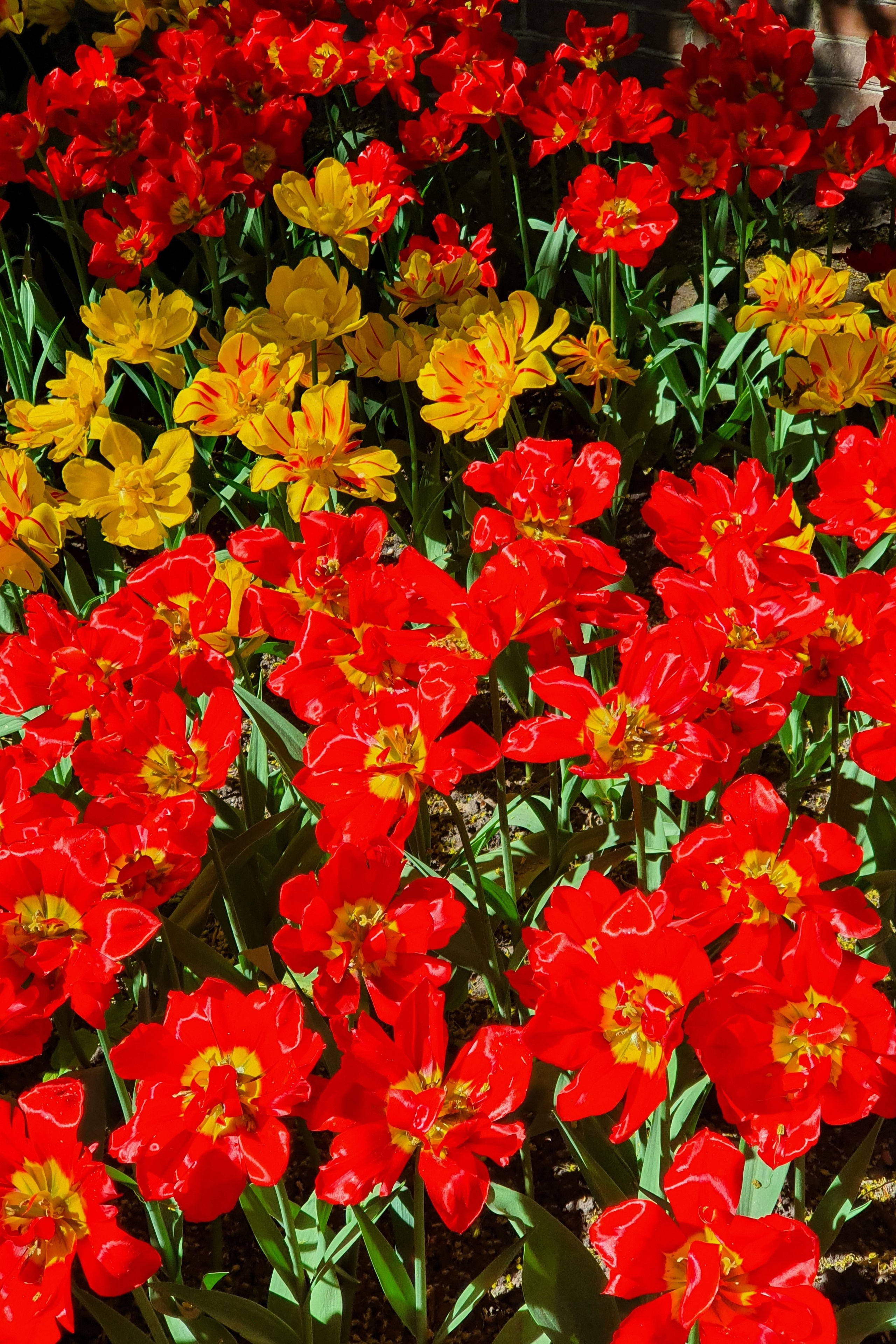 Автор: Даша Газизова