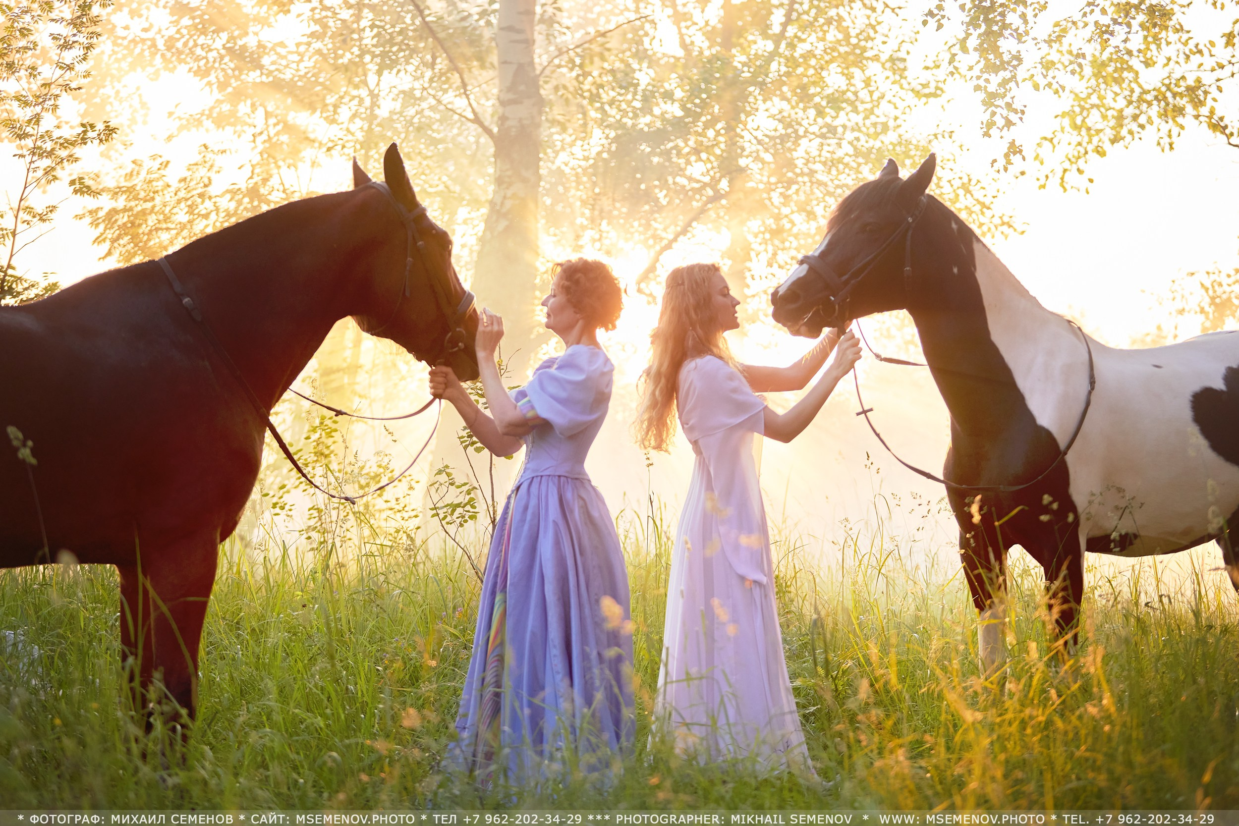 Фотосессия с лошадьми в г. Ярославль. Фотограф Михаил Семенов