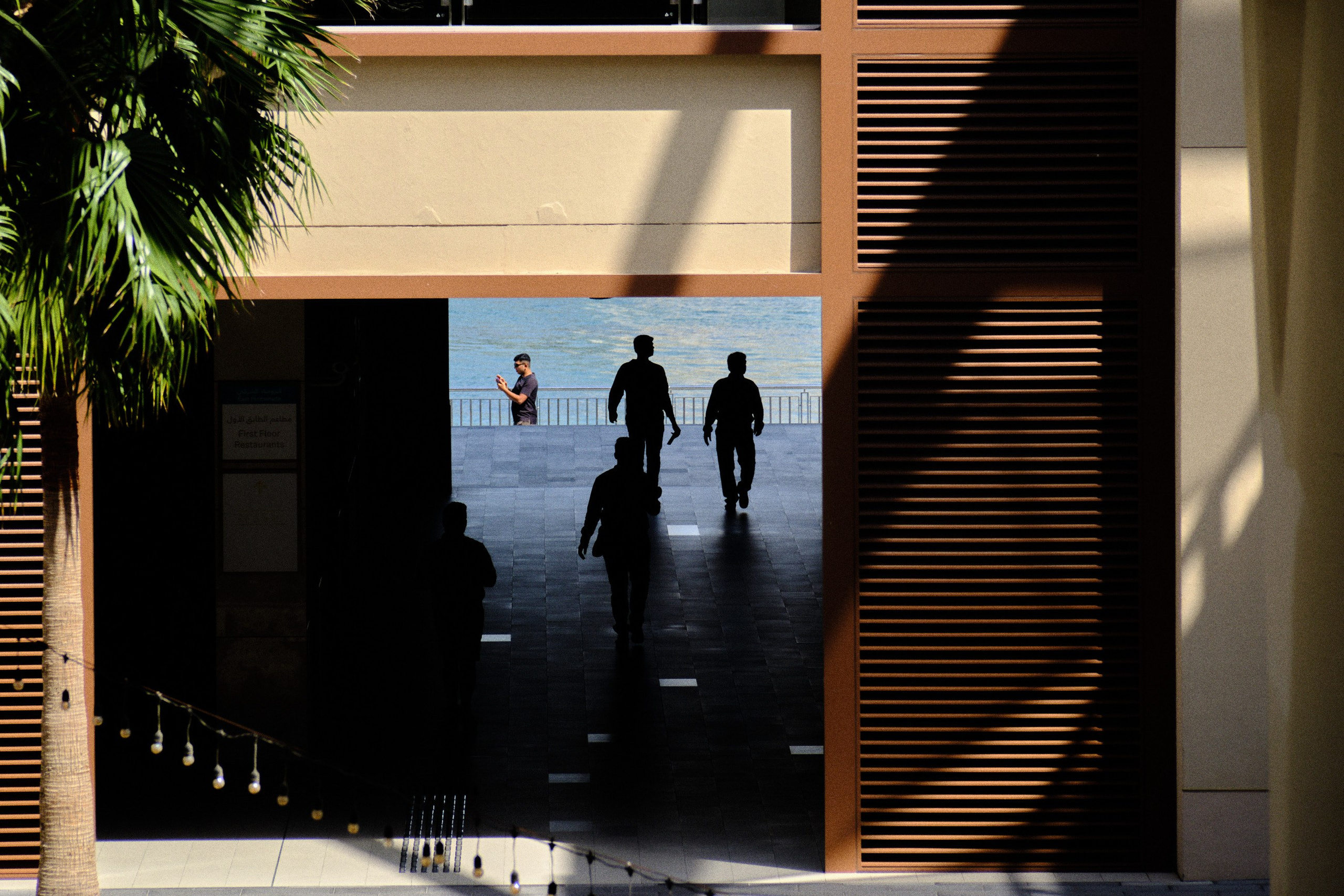 Оман. ОАЭ. Катар. Бахрейн. Юрий Березнюк. Фотожурналистика