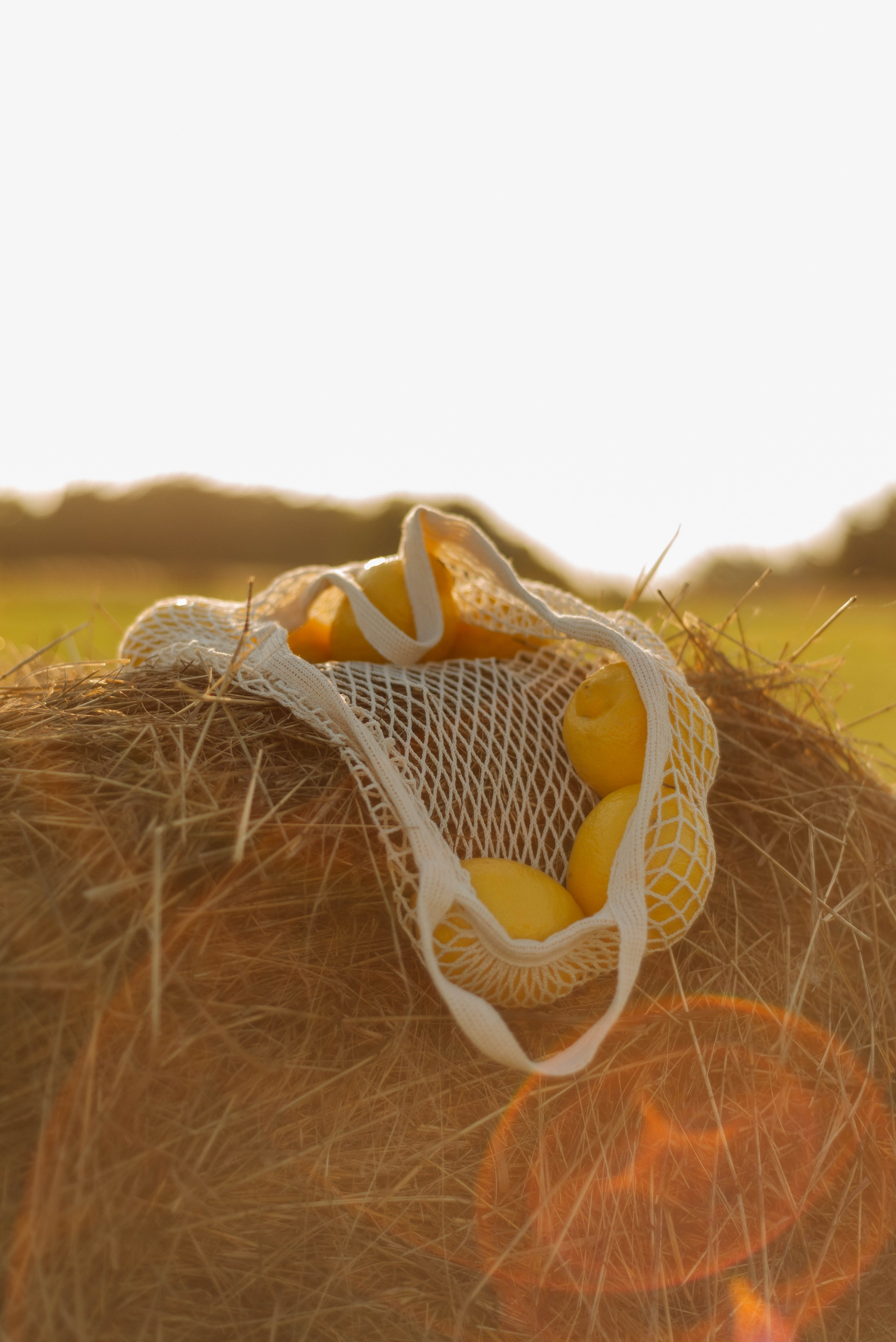 Елена. Фотограф в Новосибирске