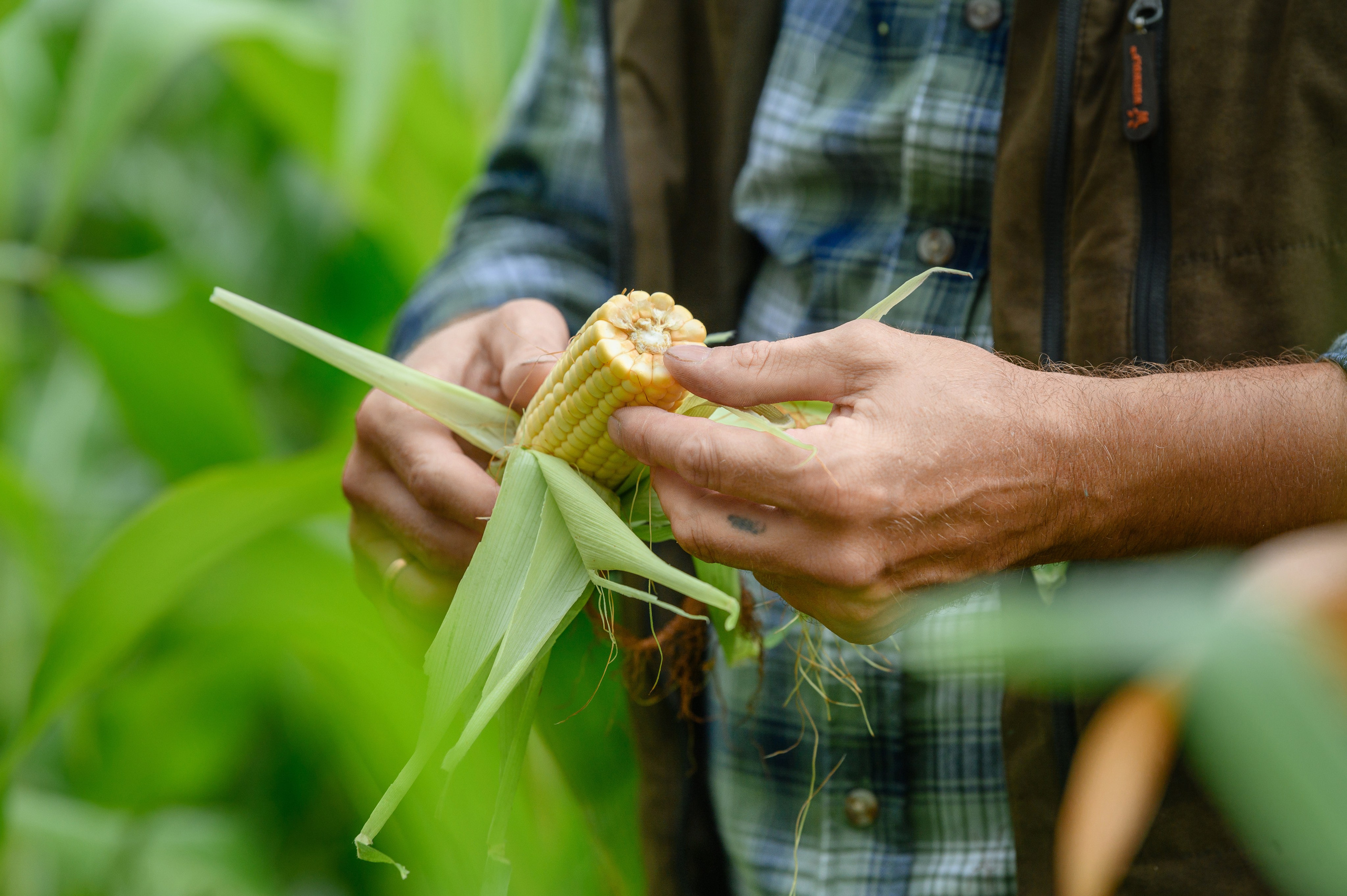 Проекты. Профессиональный фотограф Вячеслав Плацында | Липецк |