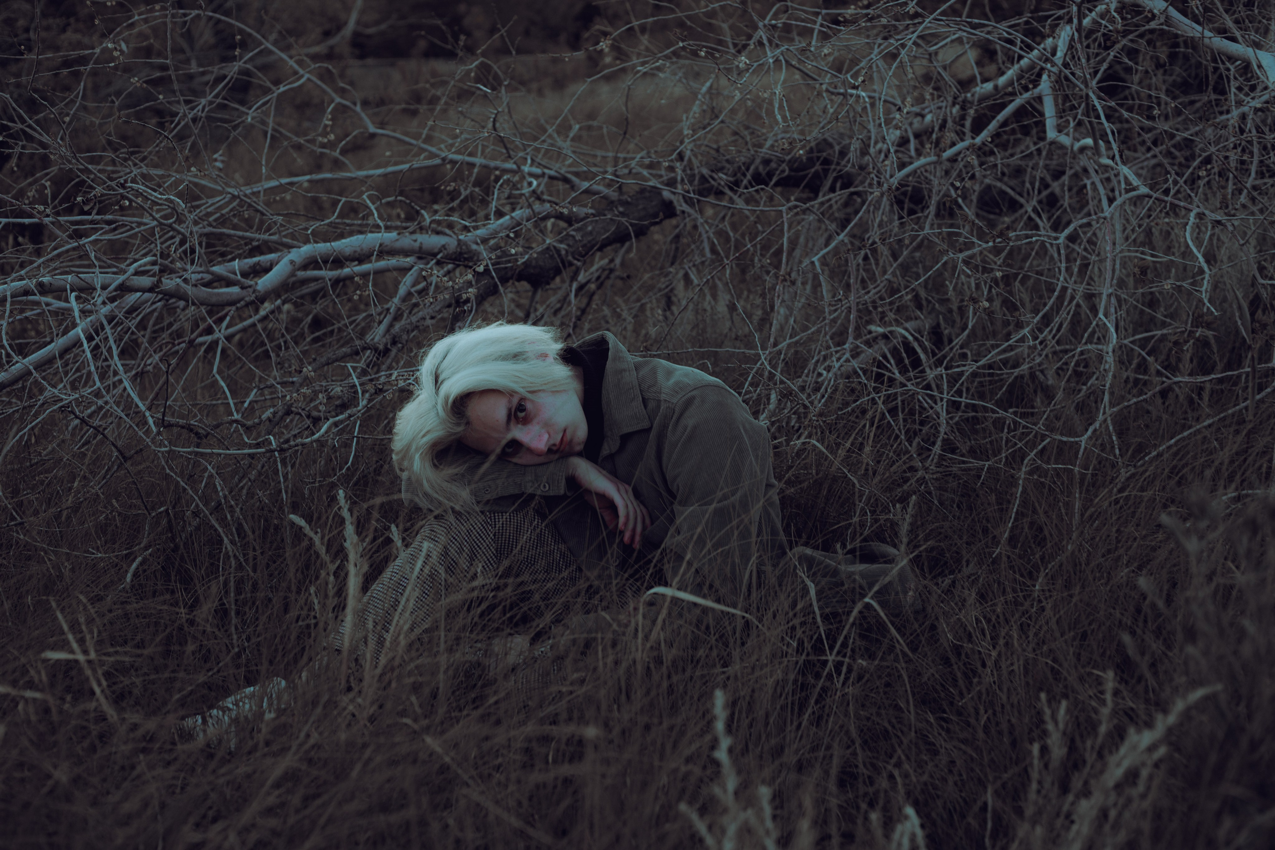 Художественные портреты. Главная