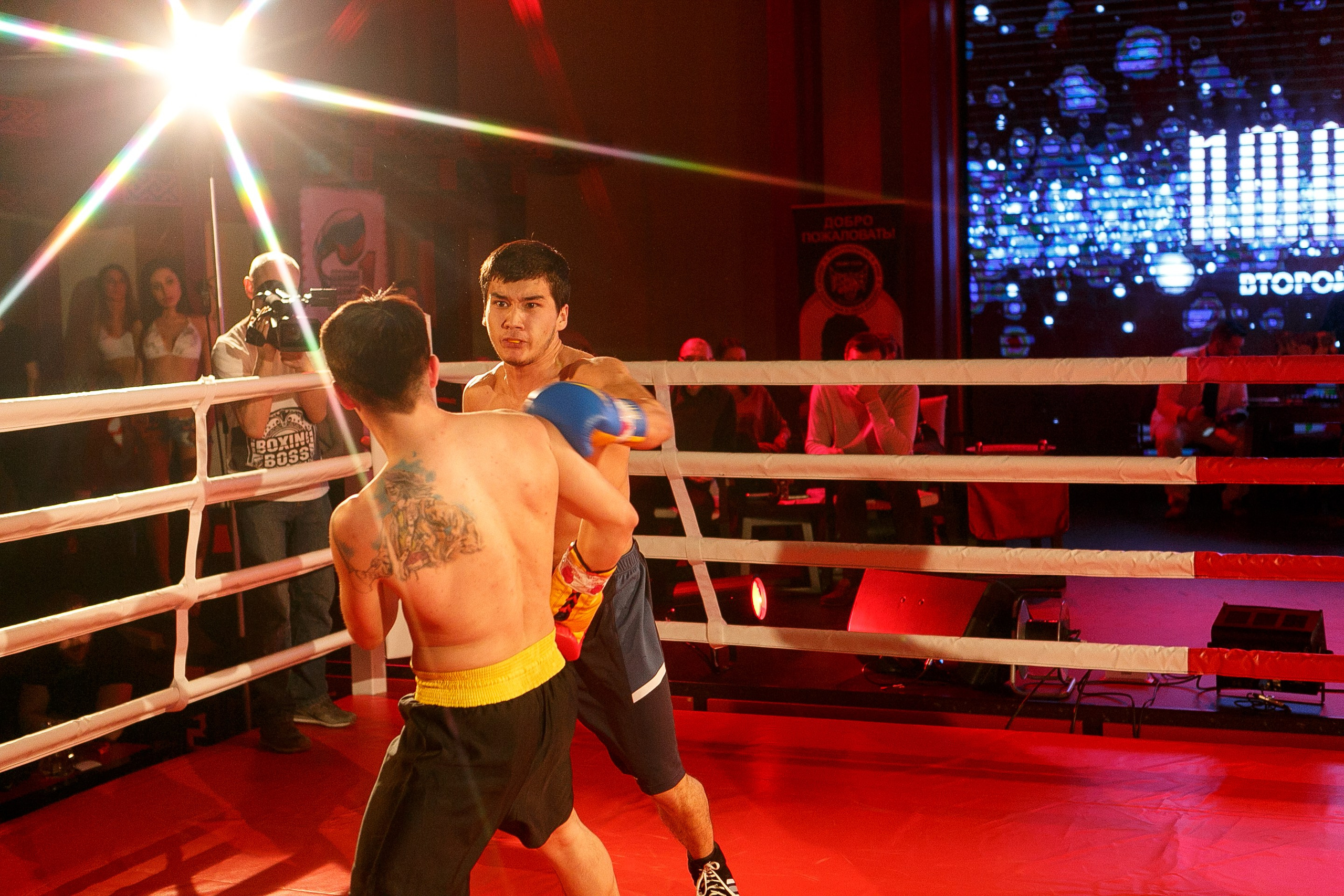 БОКС Империя Цынь, турнир первый. Фотограф Александр Заломаев