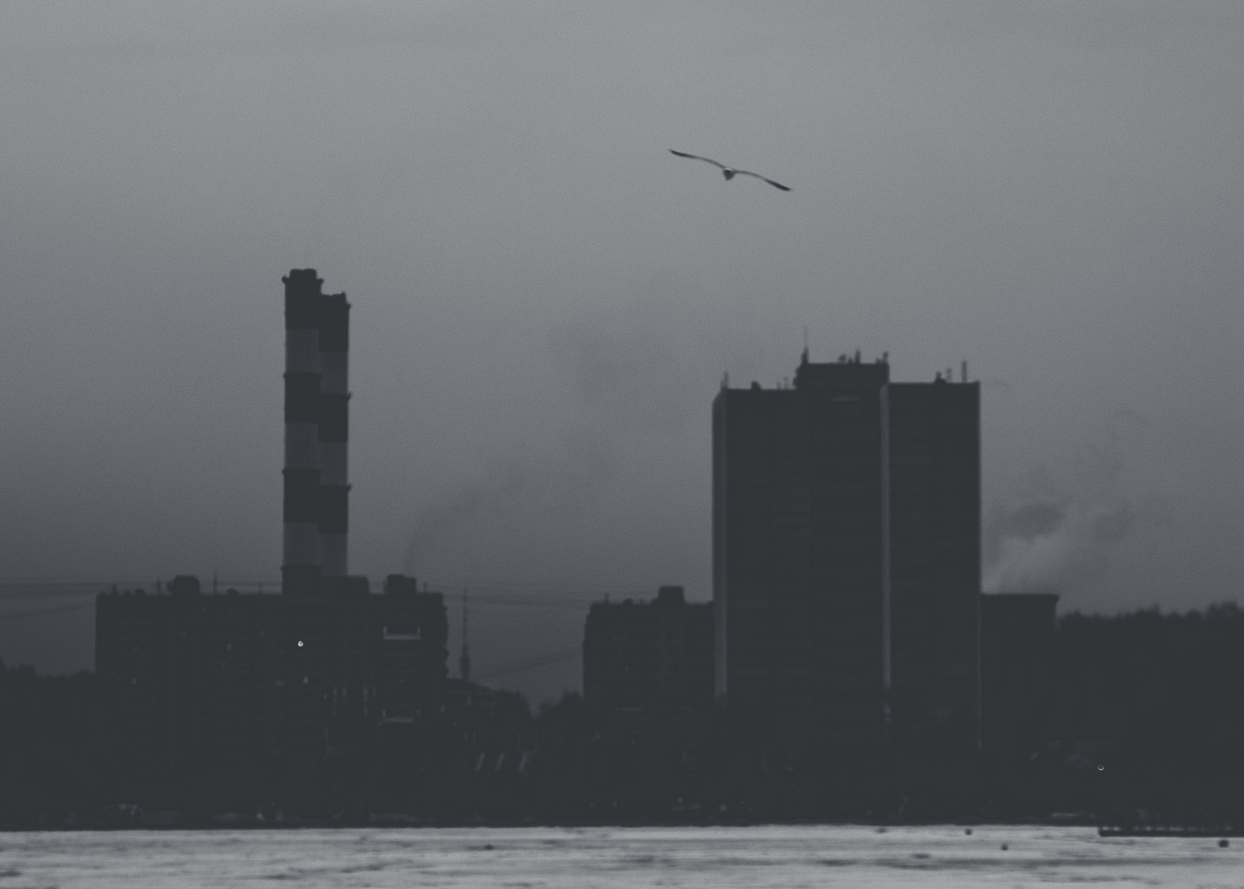 Стрит-фото. Фотограф в Москве Сергей Купряхин