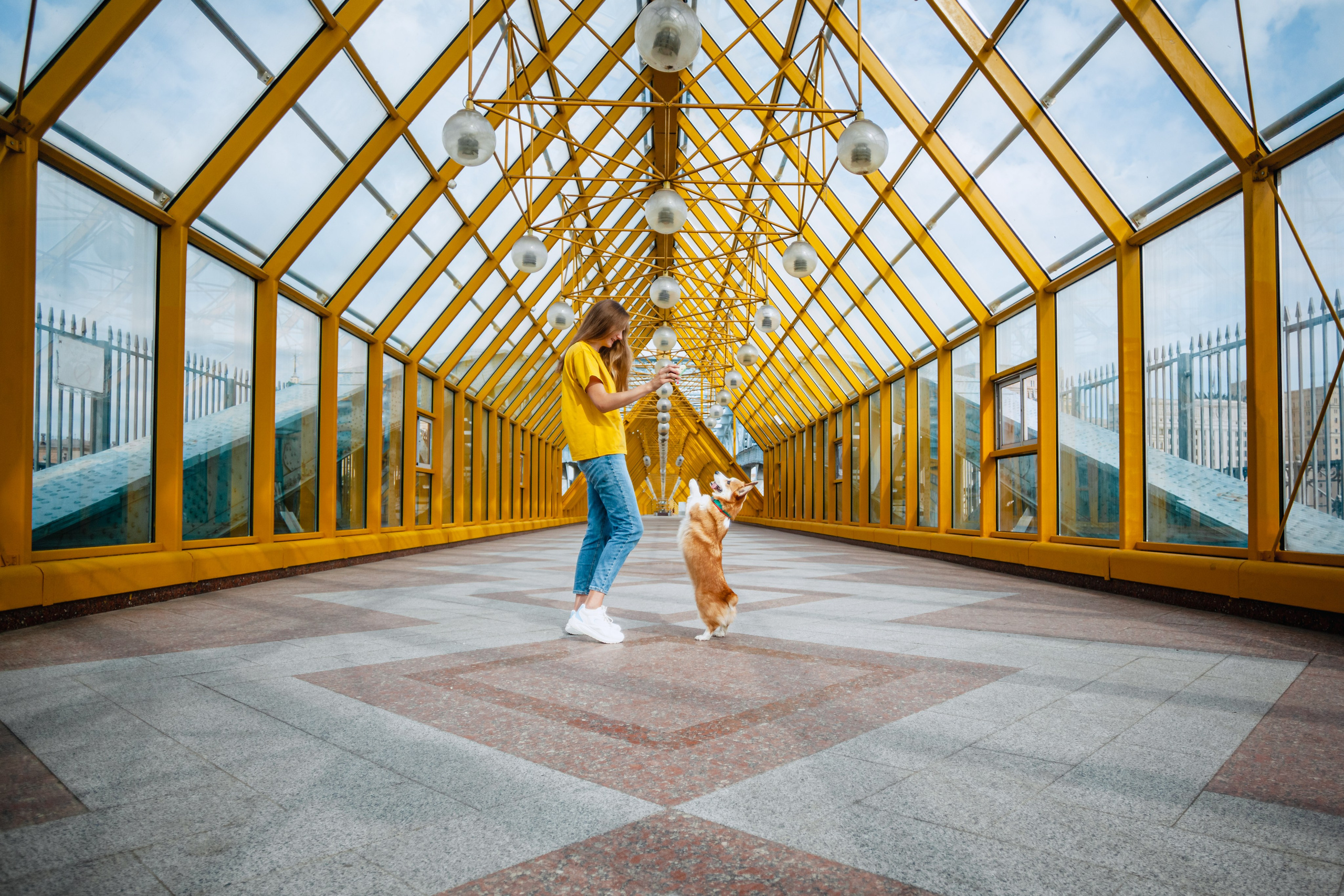 Андреевский мост. Фотограф-анималист Татьяна Степанова