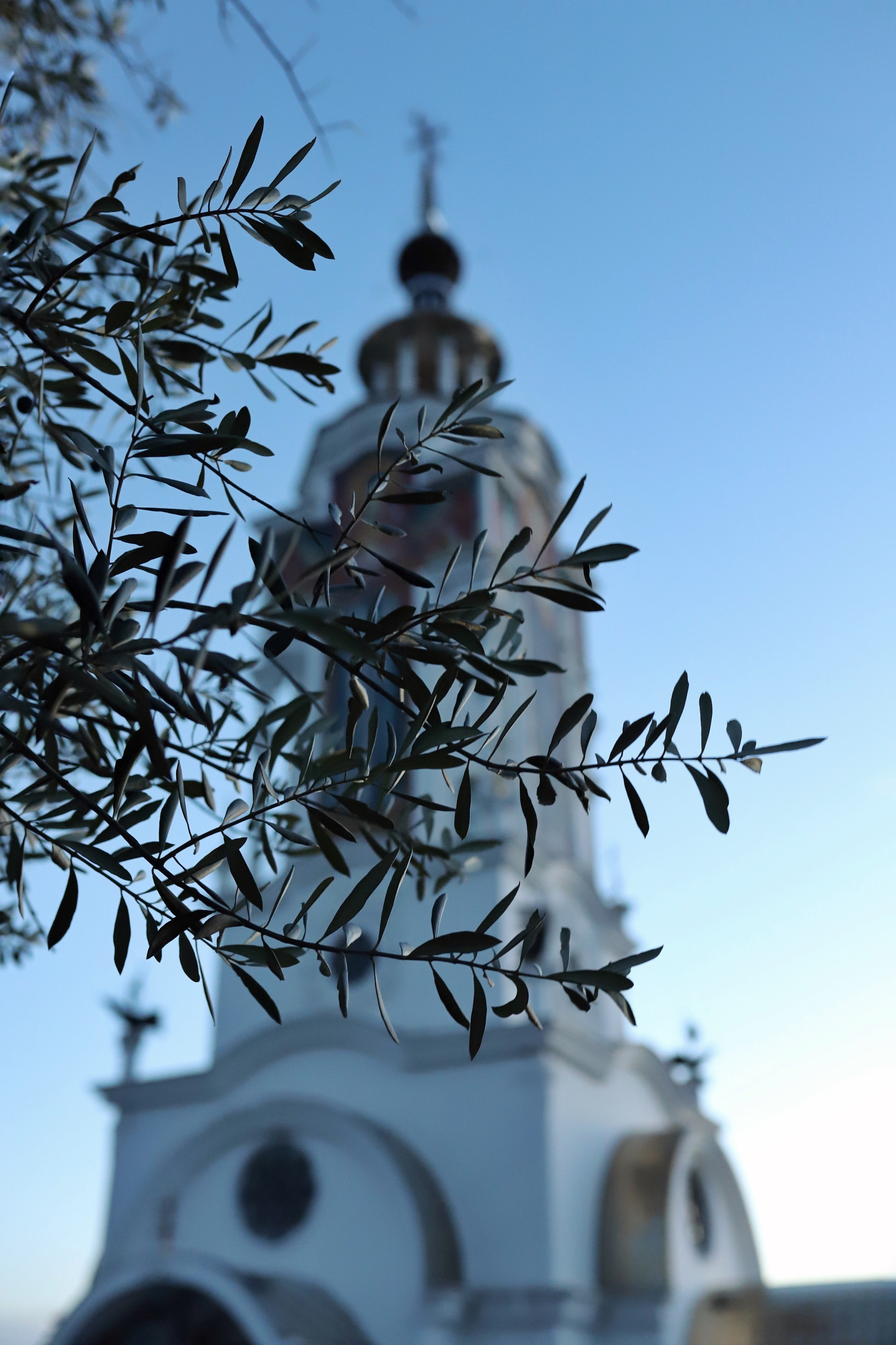 Фотограф и видеограф в Санкт-Петербурге