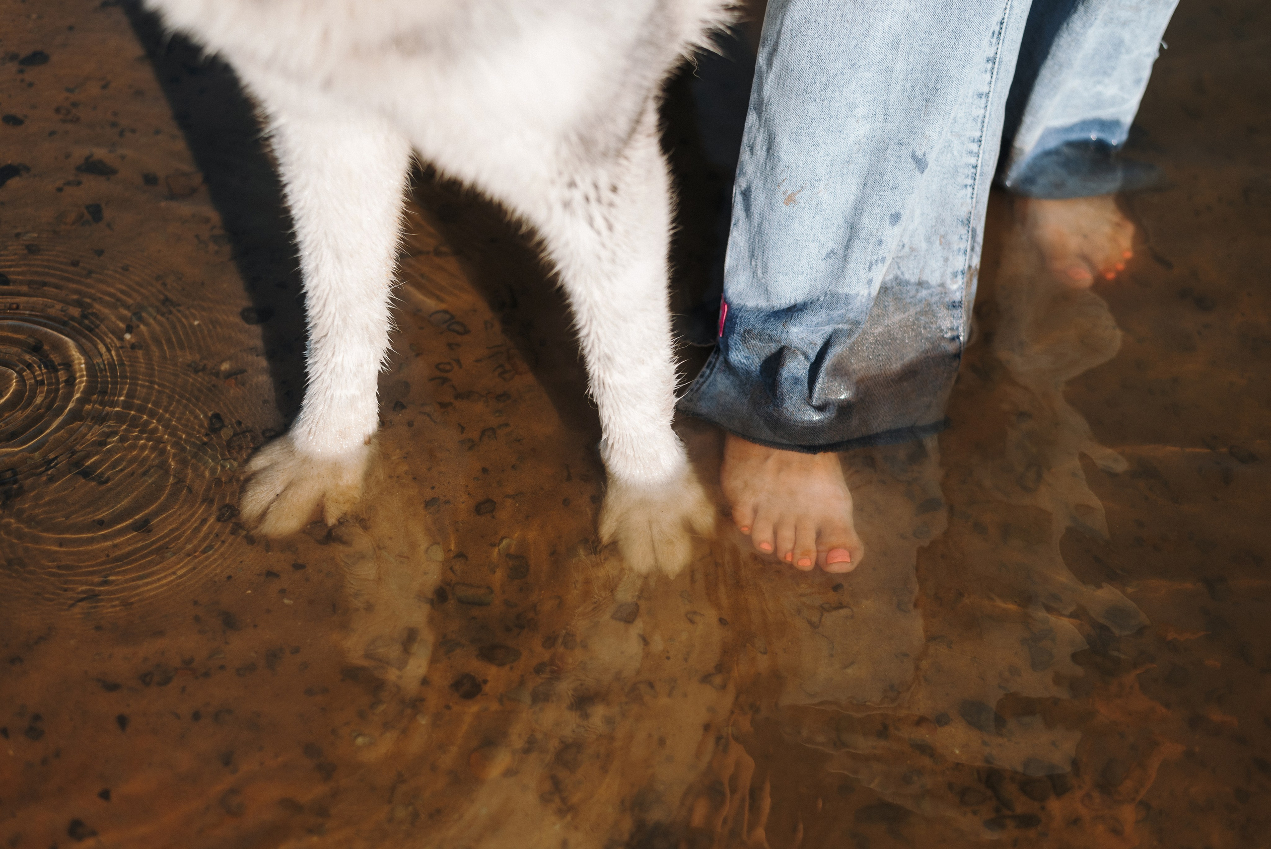 Ksenia & Archie. Natalia Finch Photography — Family, Kids & Pet Photographer in Chicago, IL