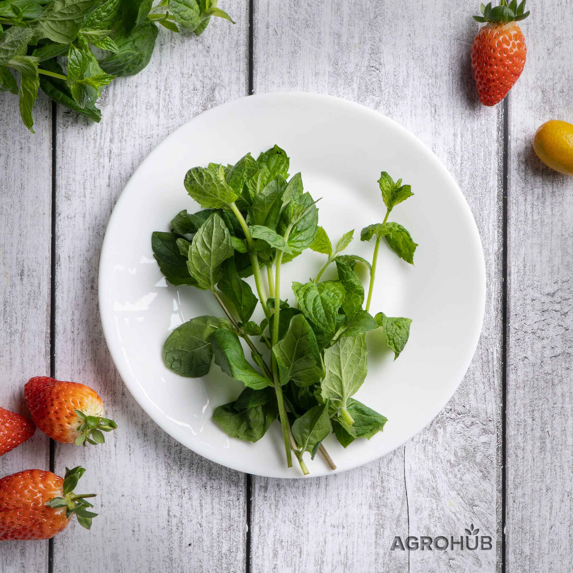 Agrohub. Предметное фото