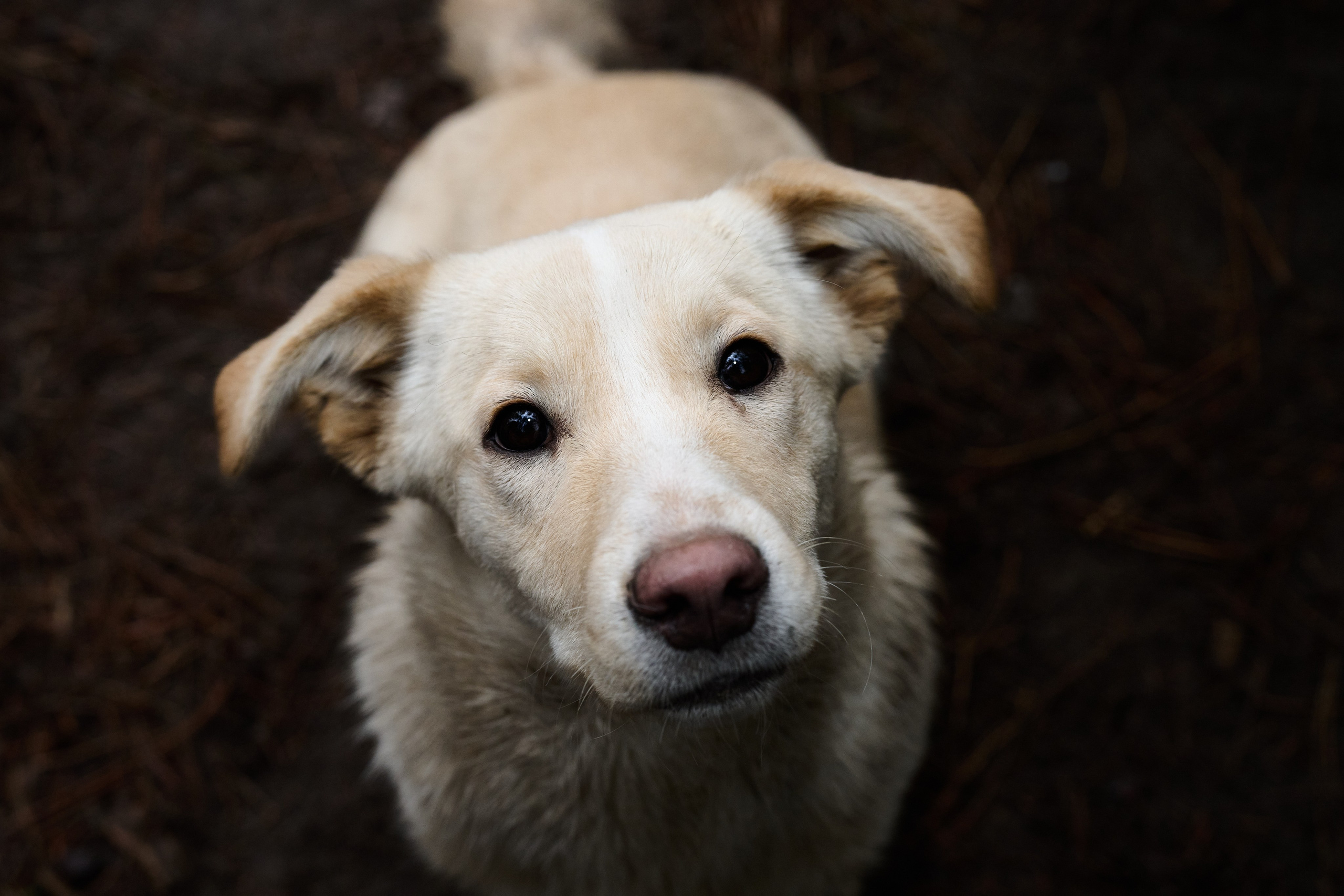 Фото для презентации фотопроекта «Территории». Фотопроект «Территории»