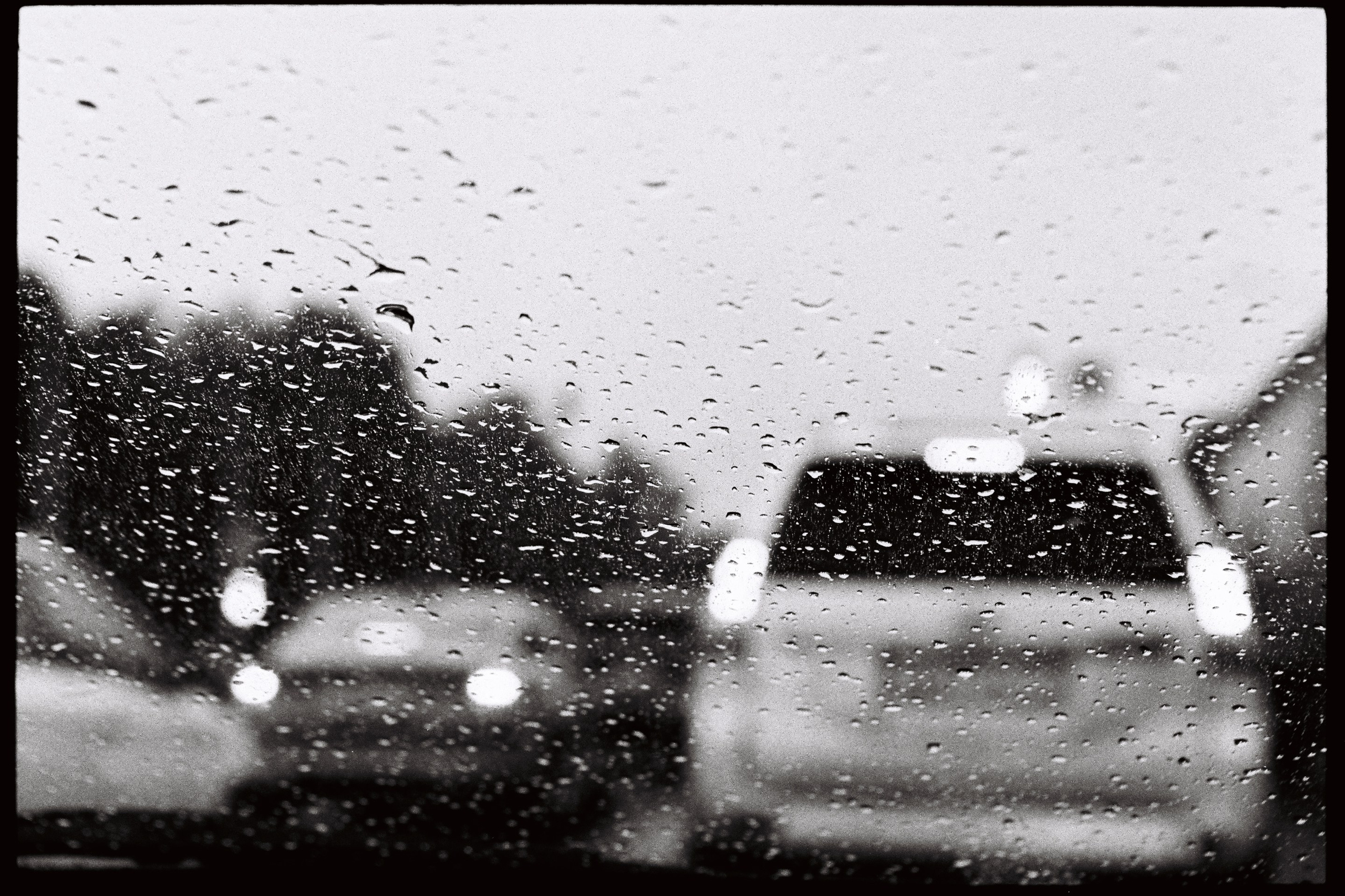 Пленка. Фотограф Елена Лаврова