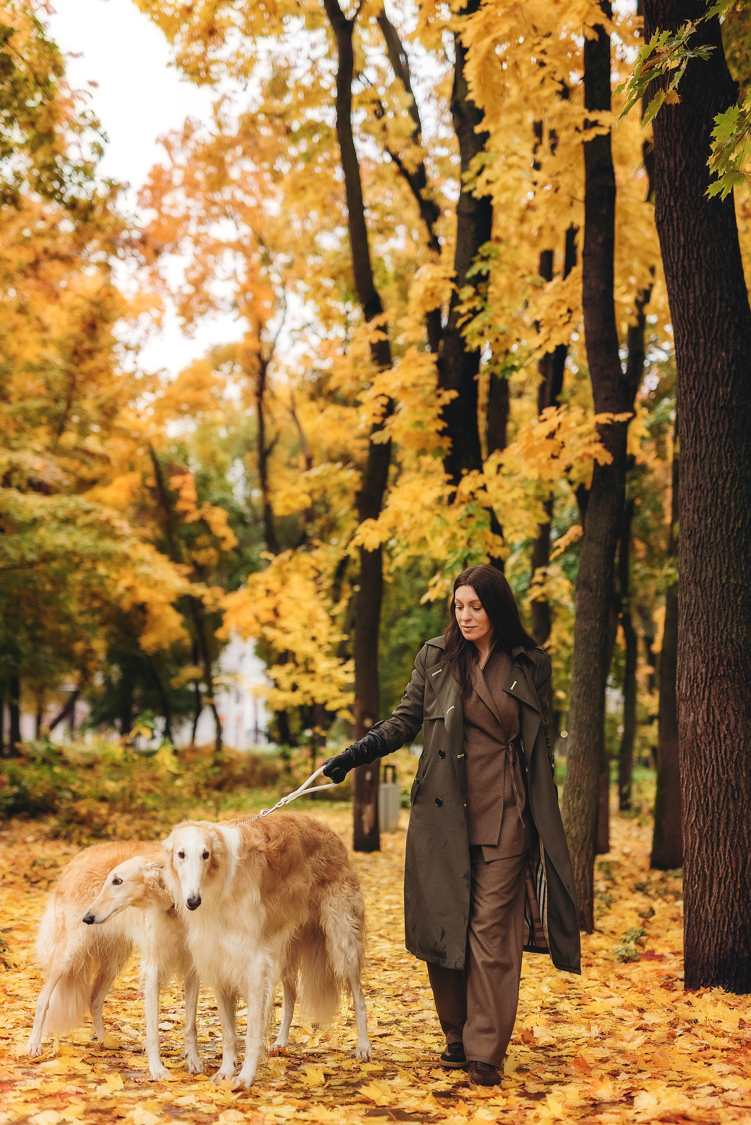 Фотосессия с борзыми. Семейный, детский фотограф в Воронеже Анна Никитина