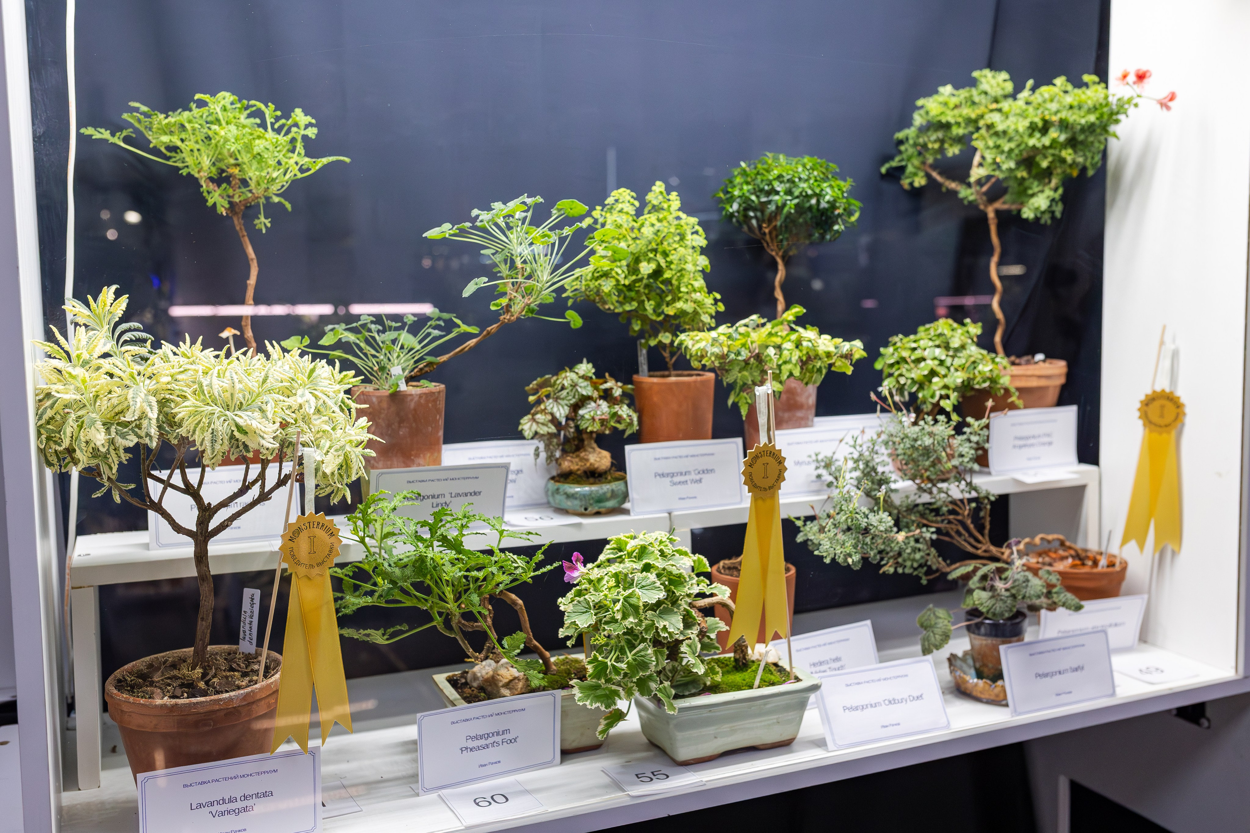 Монстериум апрель 2026. Александра Куликова фотограф, Москва