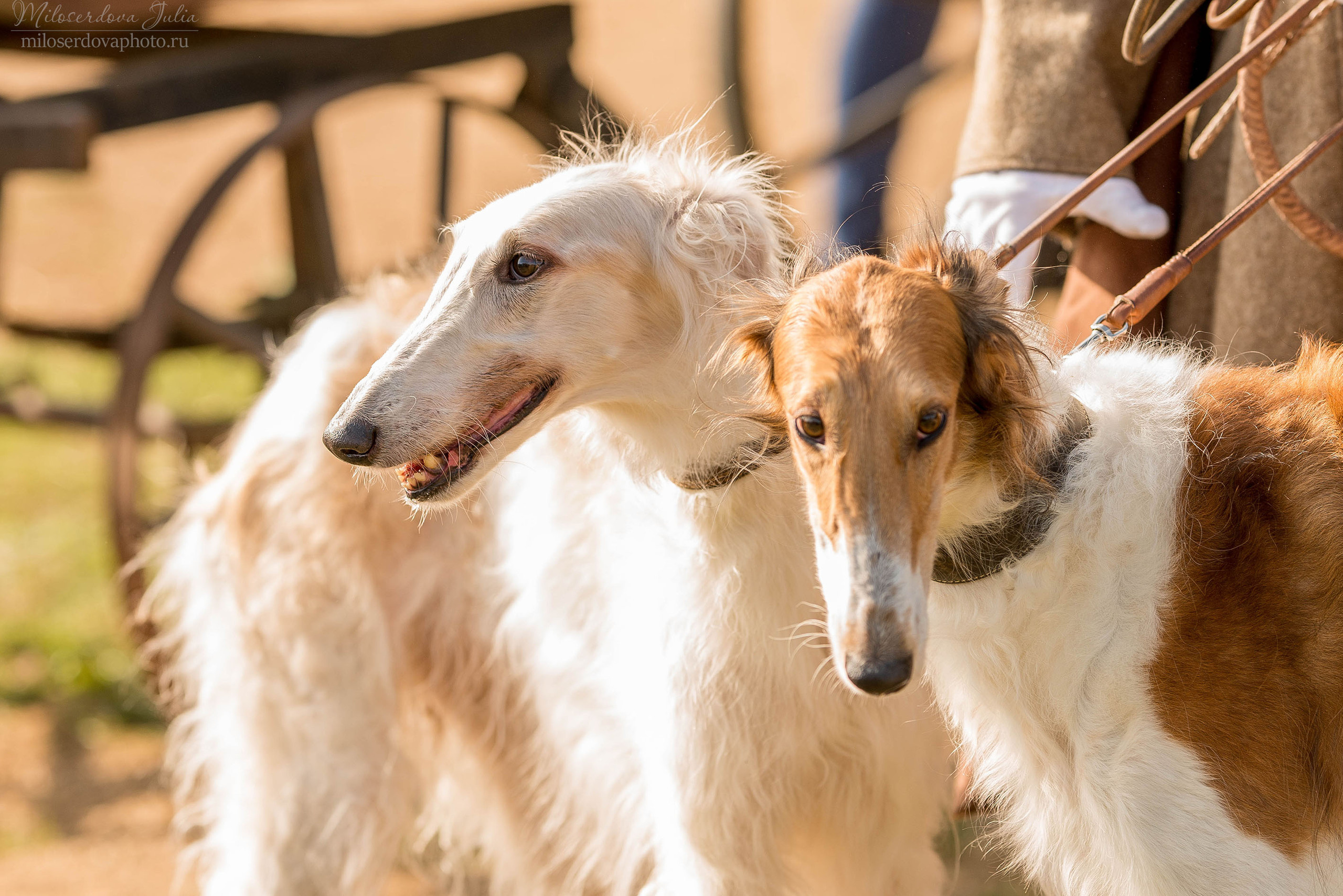 ЮЛИЯ МИЛОСЕРДОВА. Фотограф Юлия Милосердова