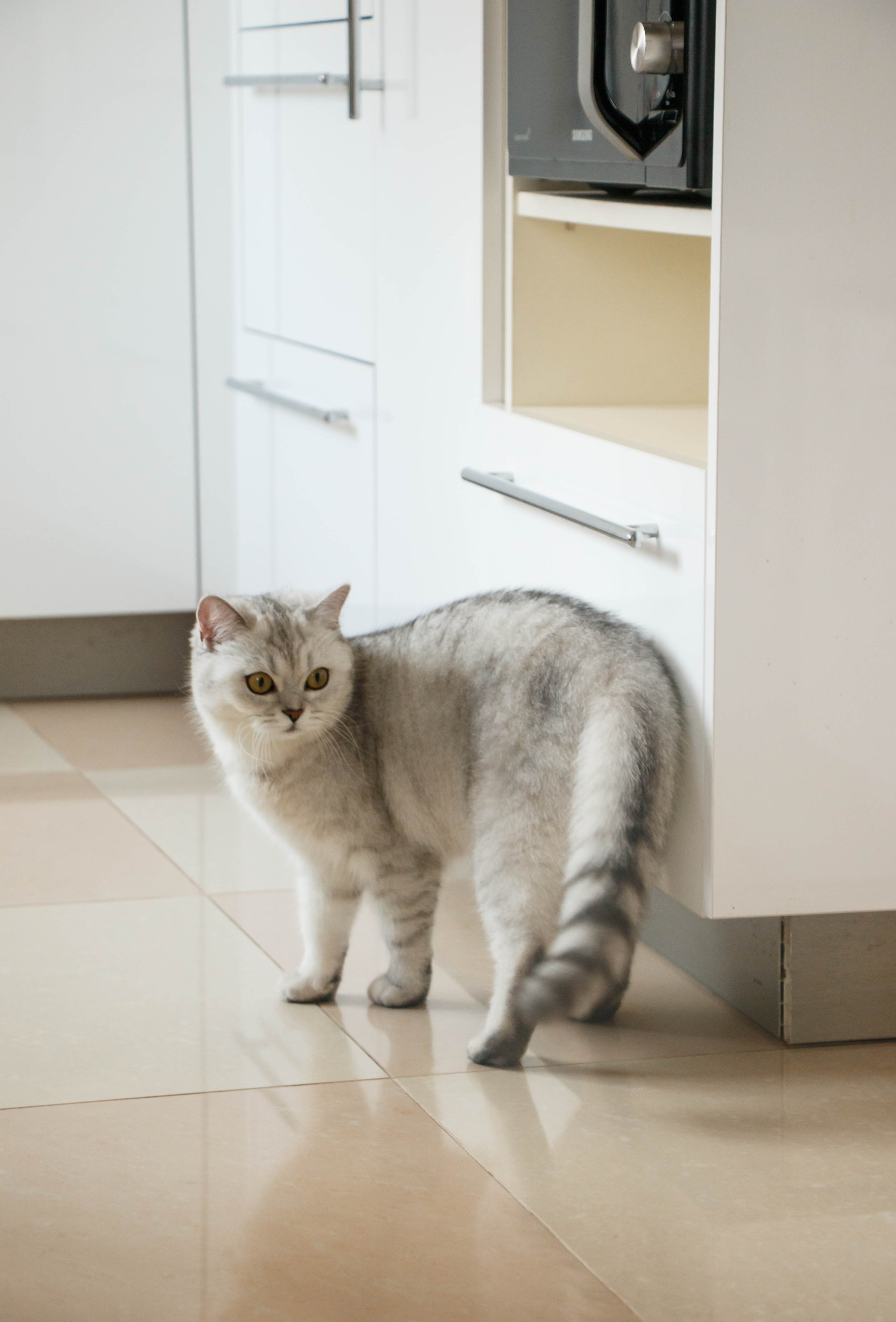 NASTYA & KITTI. Бережно сохраняю ваши чувства и истории на своих фотографиях