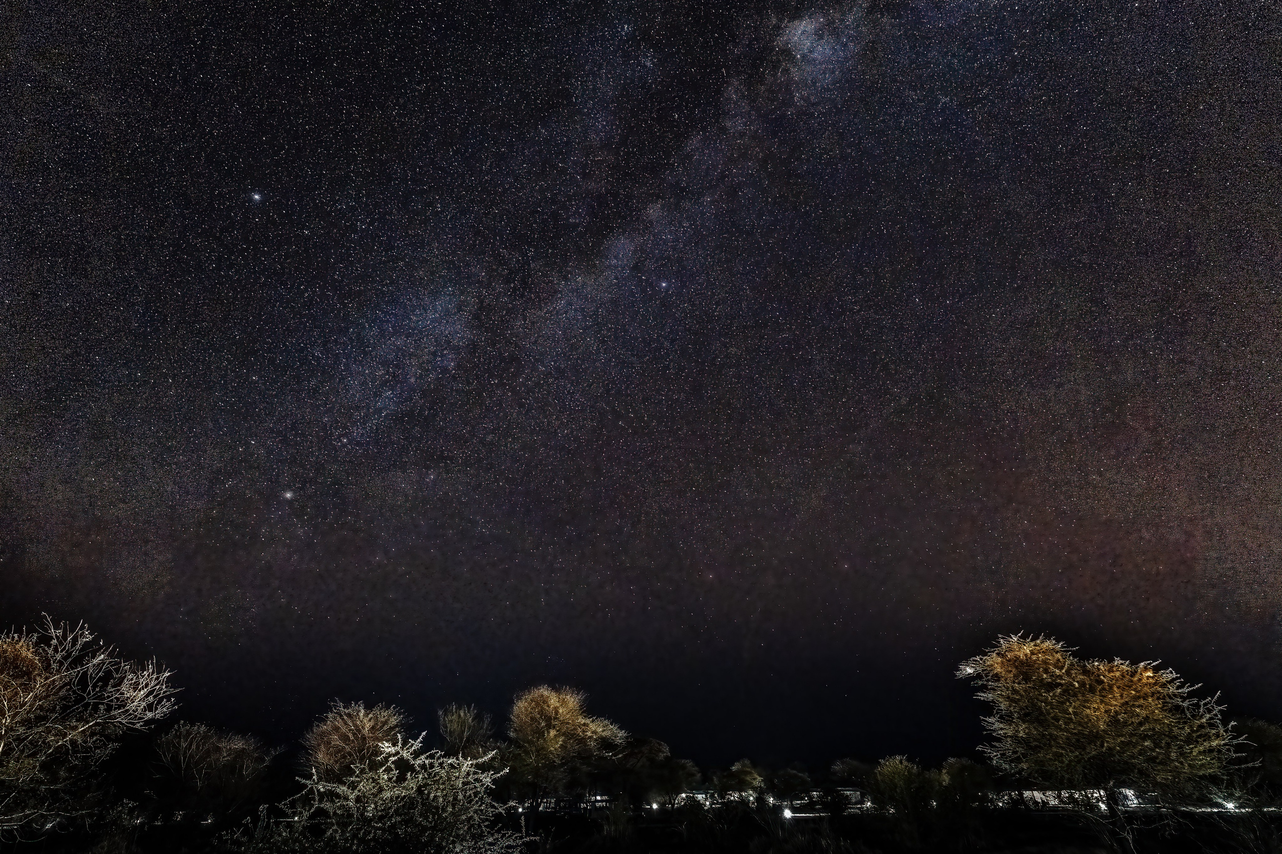 Танзания, сафари, 2025. Творческие сьемки