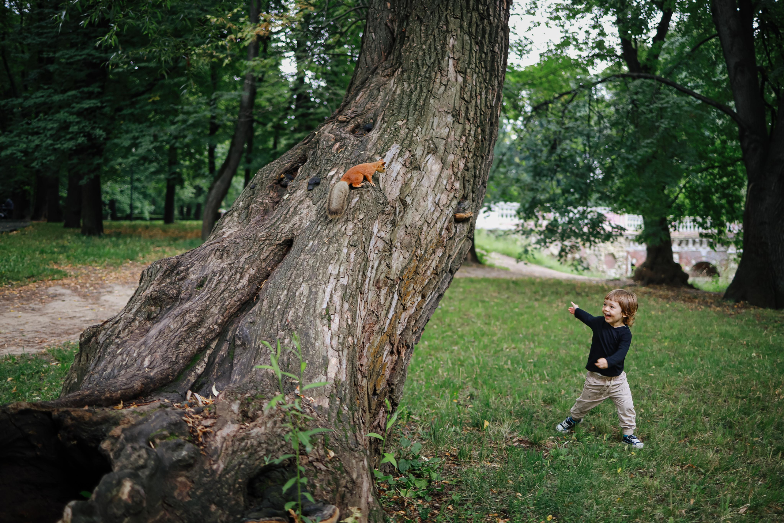 Дождливый парк. Семейный фотограф в Москве Ольга Комарова