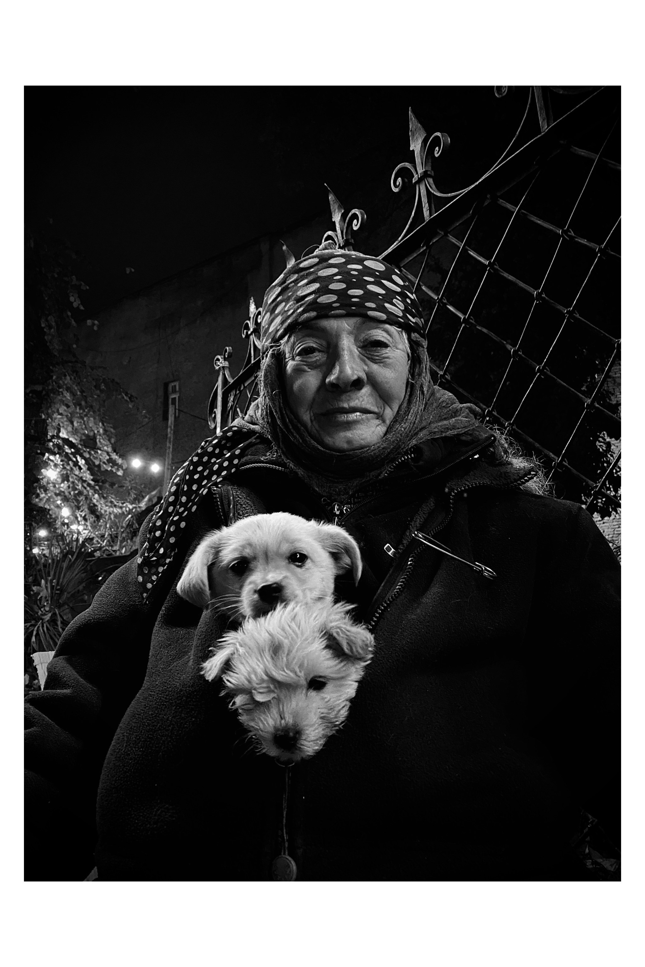 Автор: Даниил Грибов