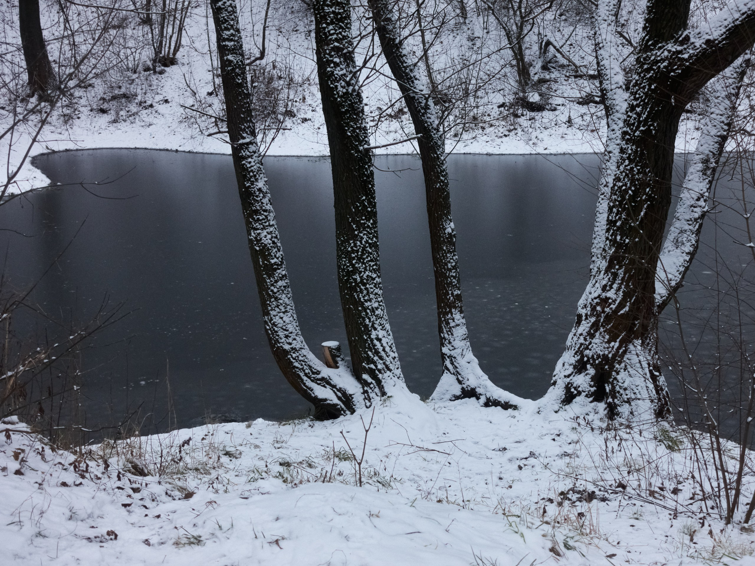 12/12. Иван Кобяков