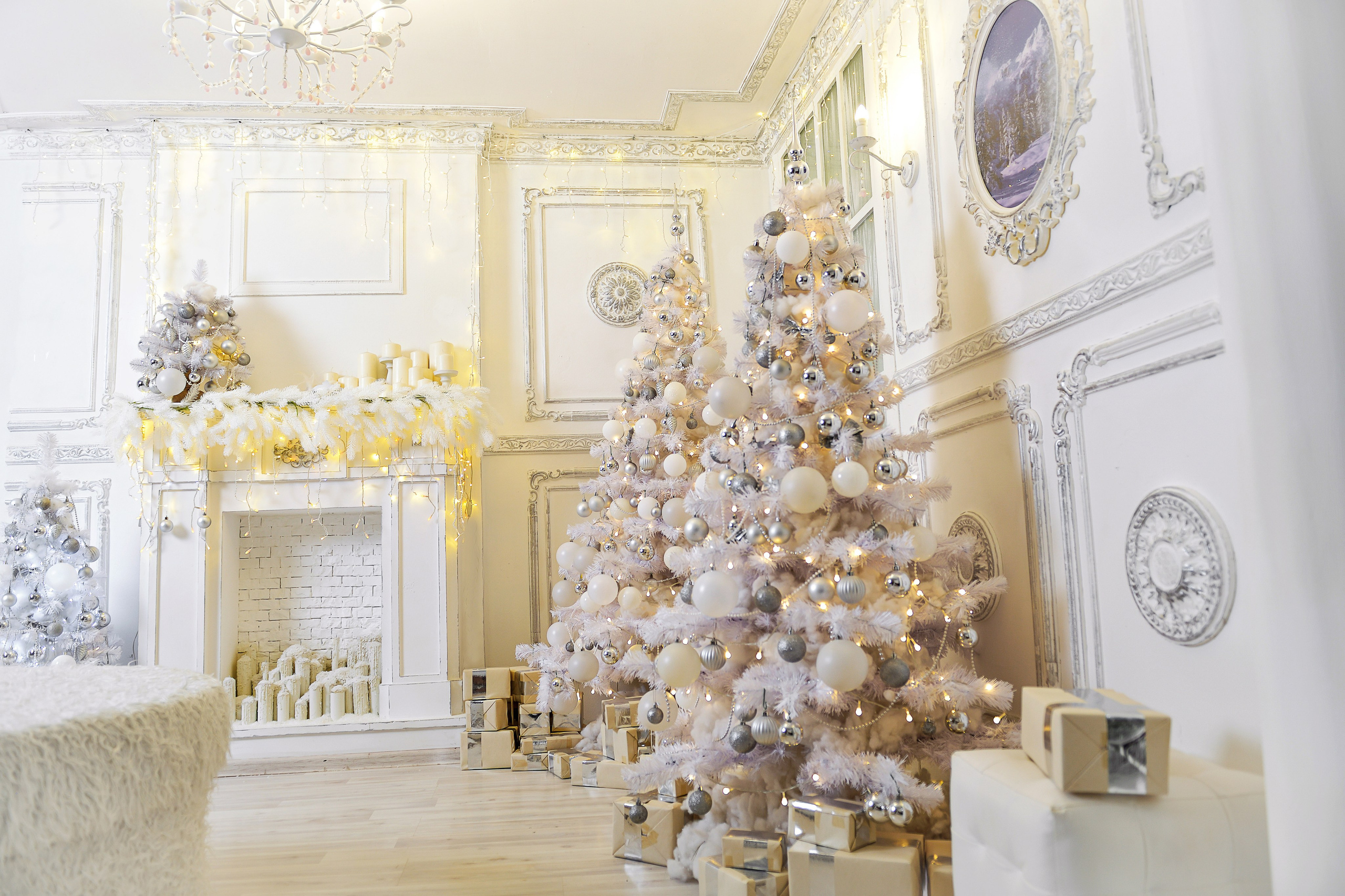 Студия. Фотостудия МАКС